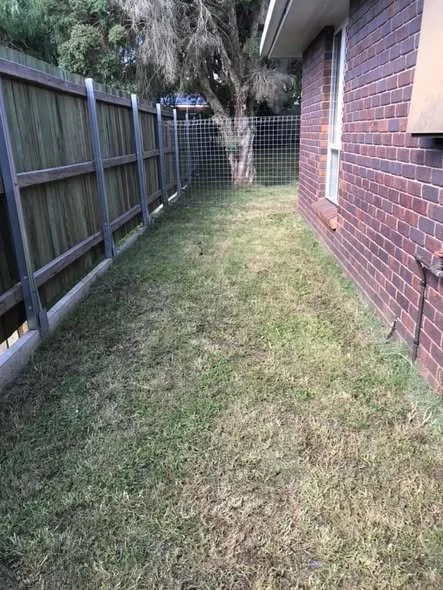 Lawn after our Lawn Mowing Services