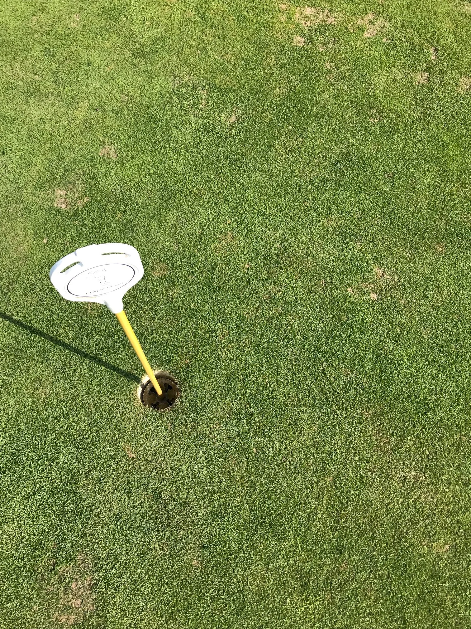 Putting Practice