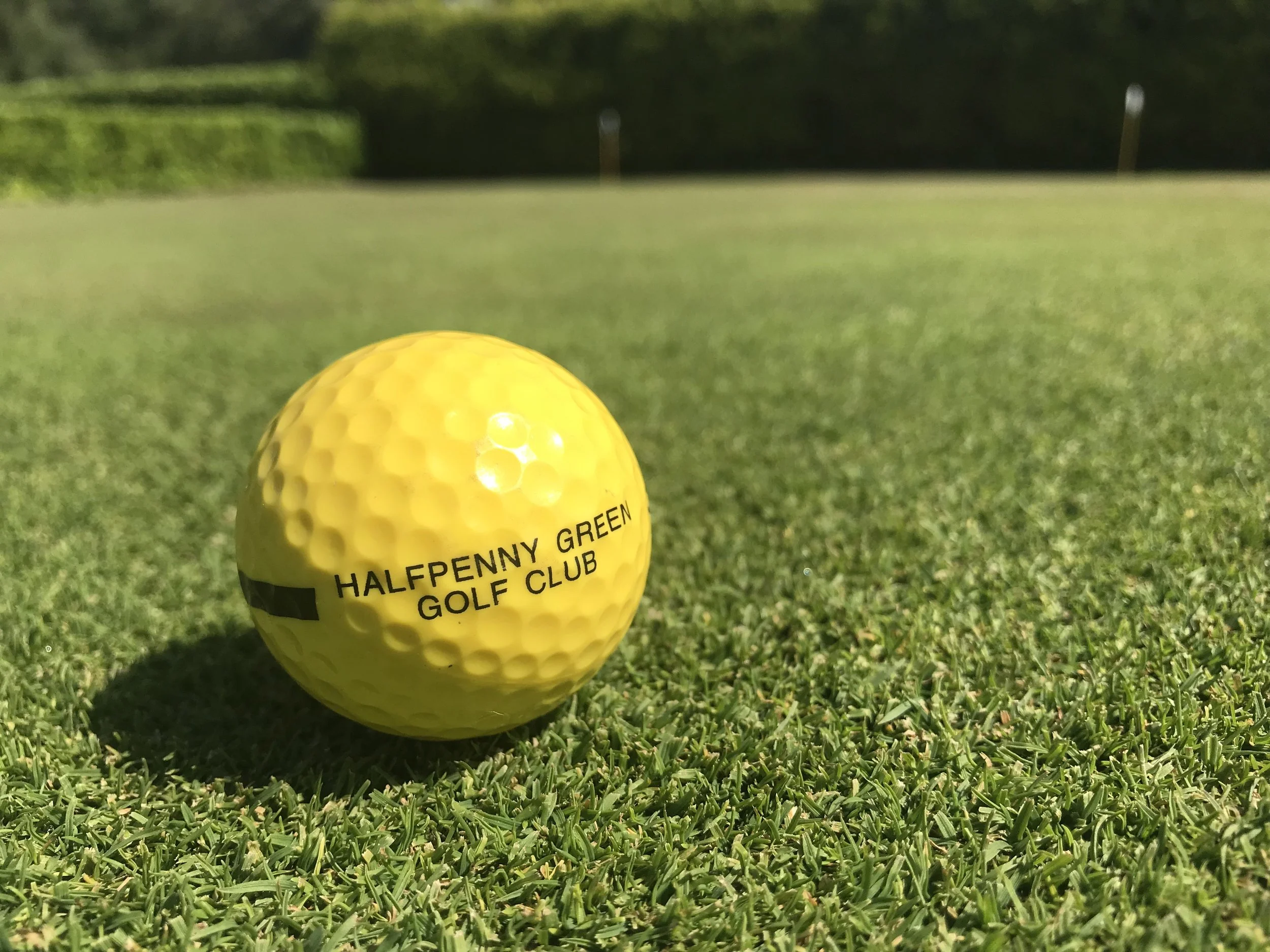 Golf Ball at Halfpenny Green Golf