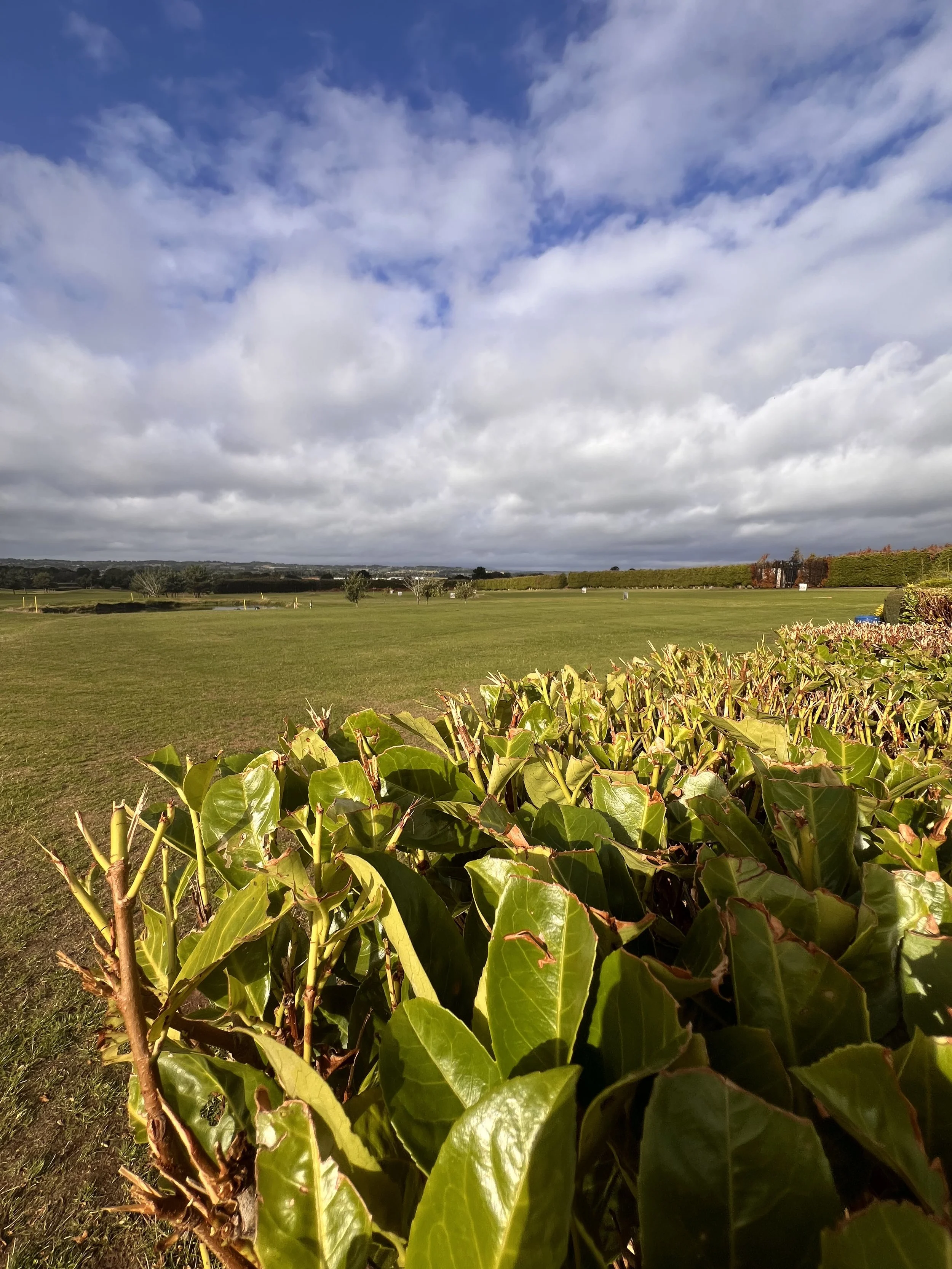 Halfpenny Green Golf trimmed grass and bushes in the foreground under a partly cloudy sky.