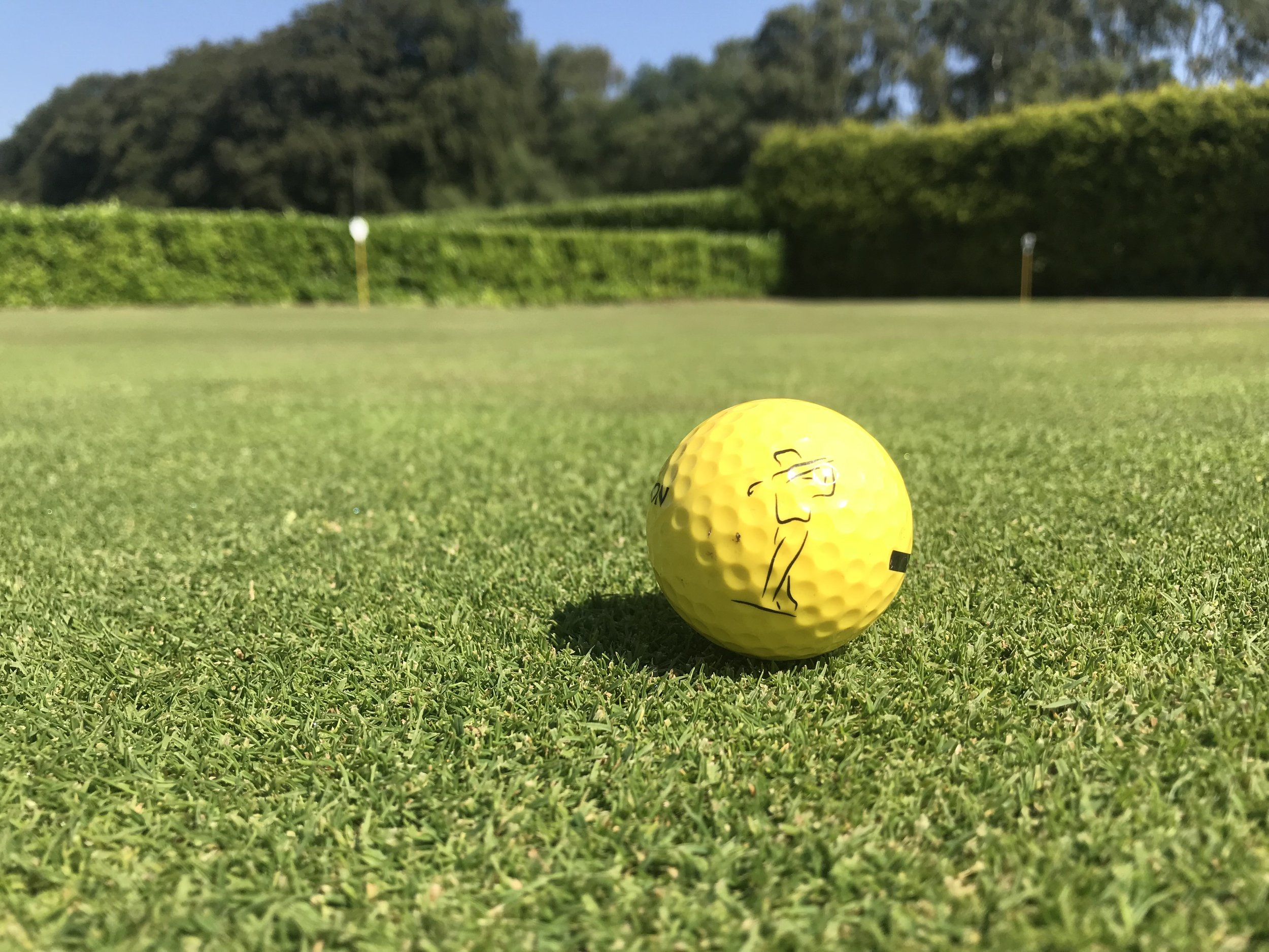 Golf Ball on Putting Greens