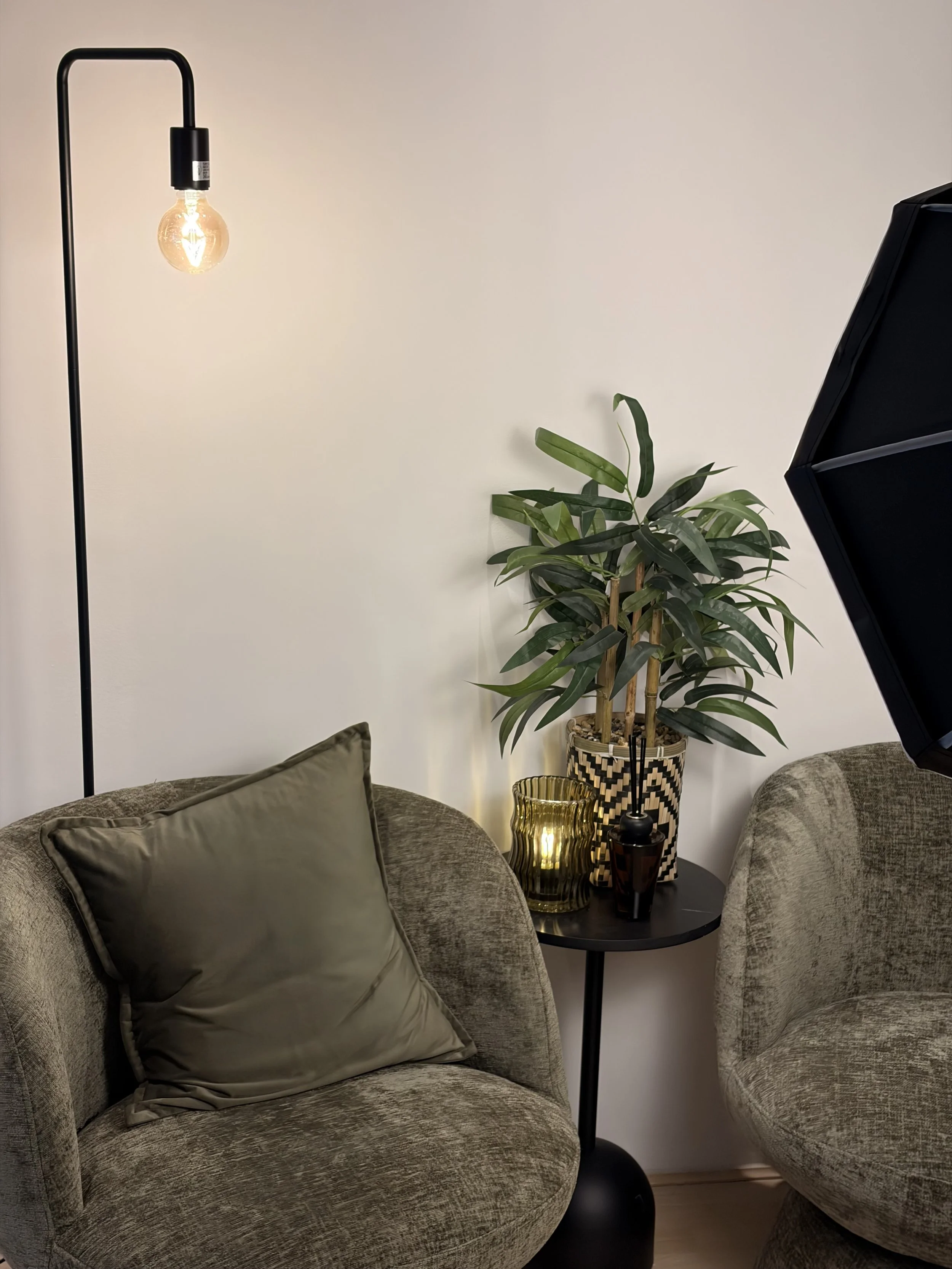 Podcast Zone with 1 warm soft box light