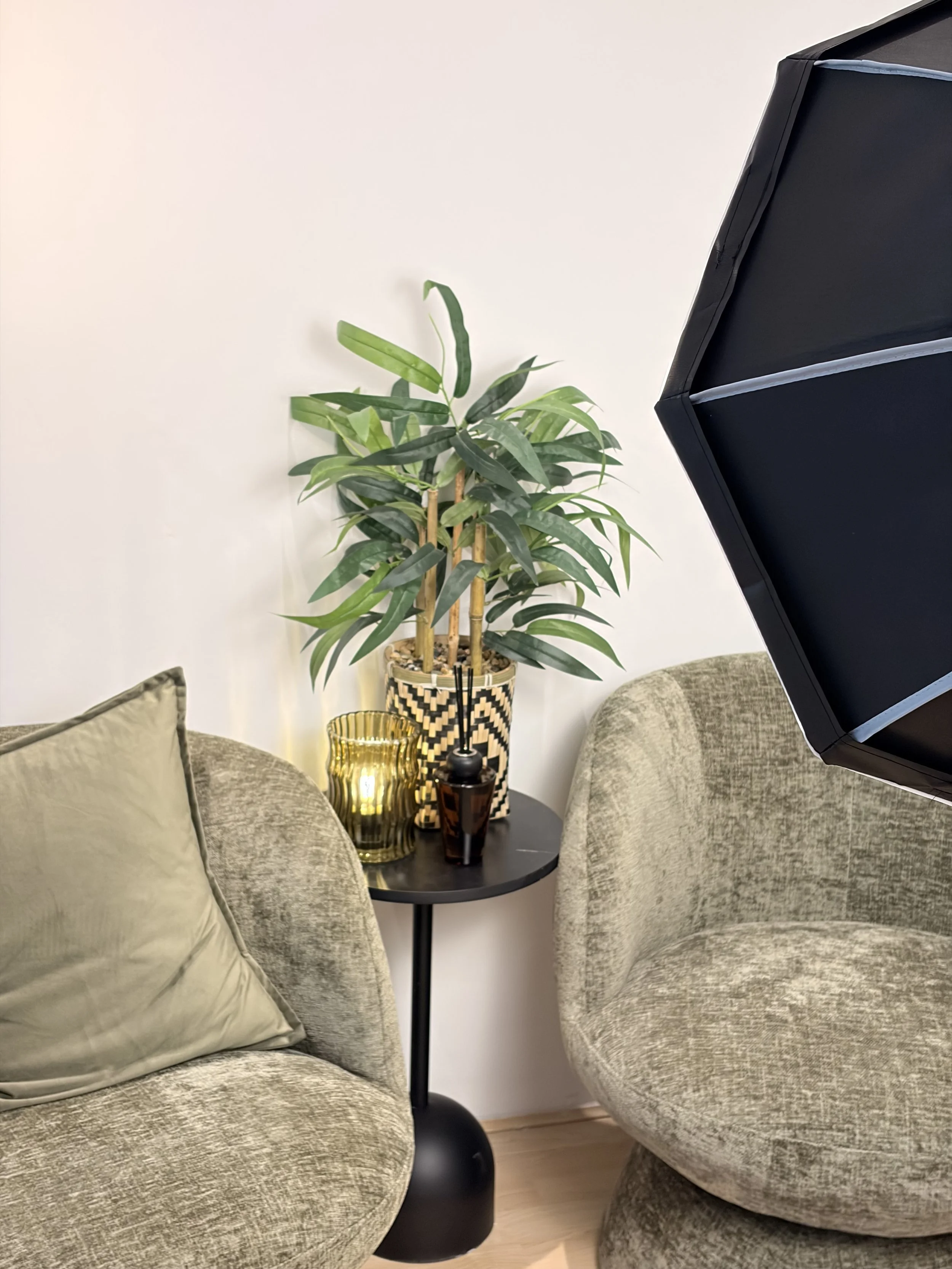 Podcast Zone with 2 soft boxes