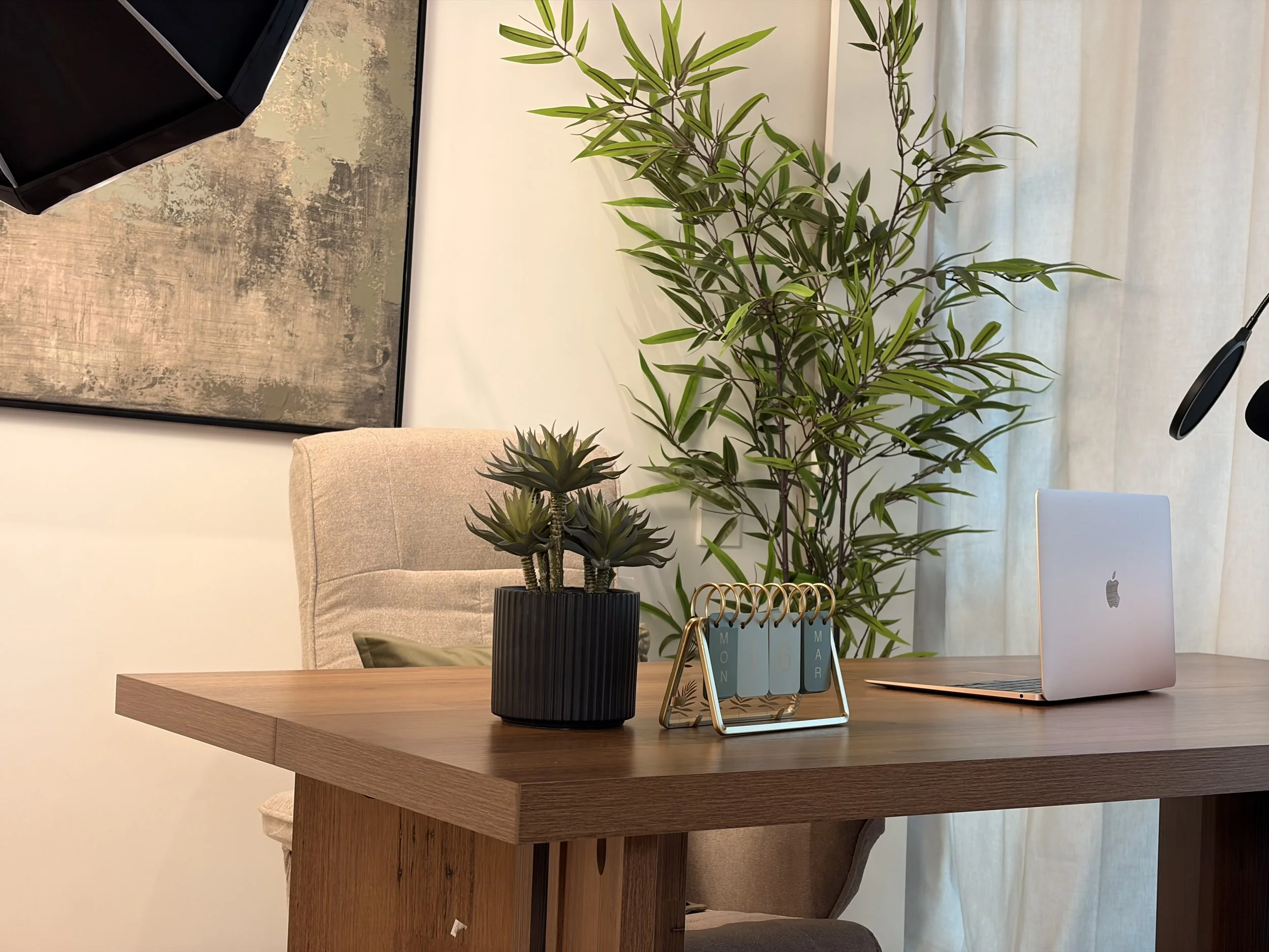 Educational Zone with Photography lighting 