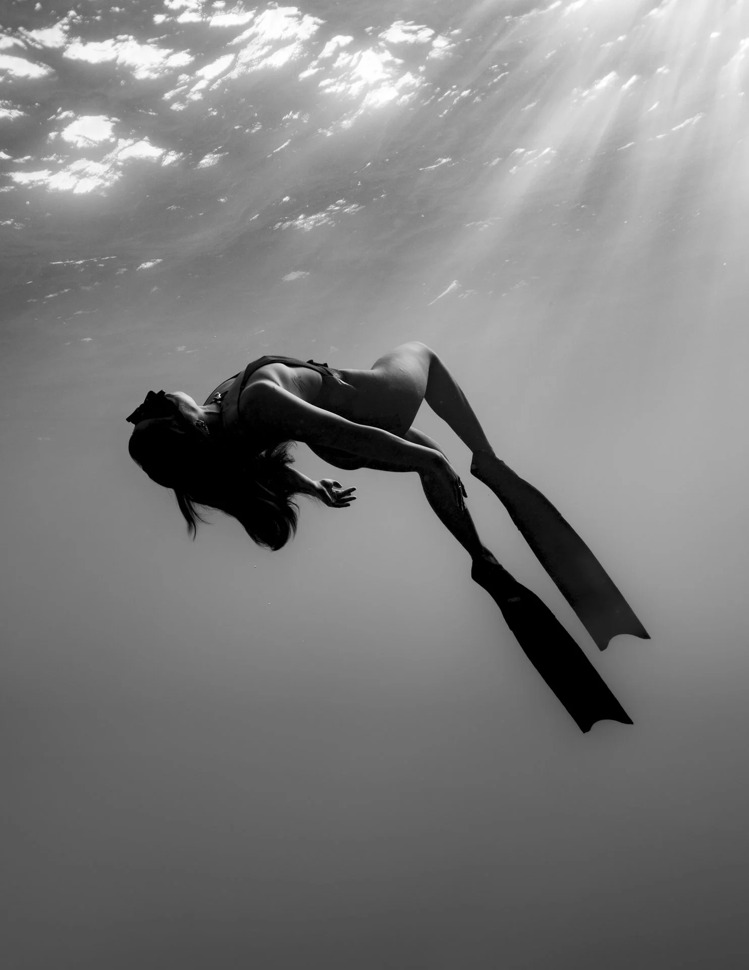 The Art of Ethical Wildlife Encounters: Freediving with Respect