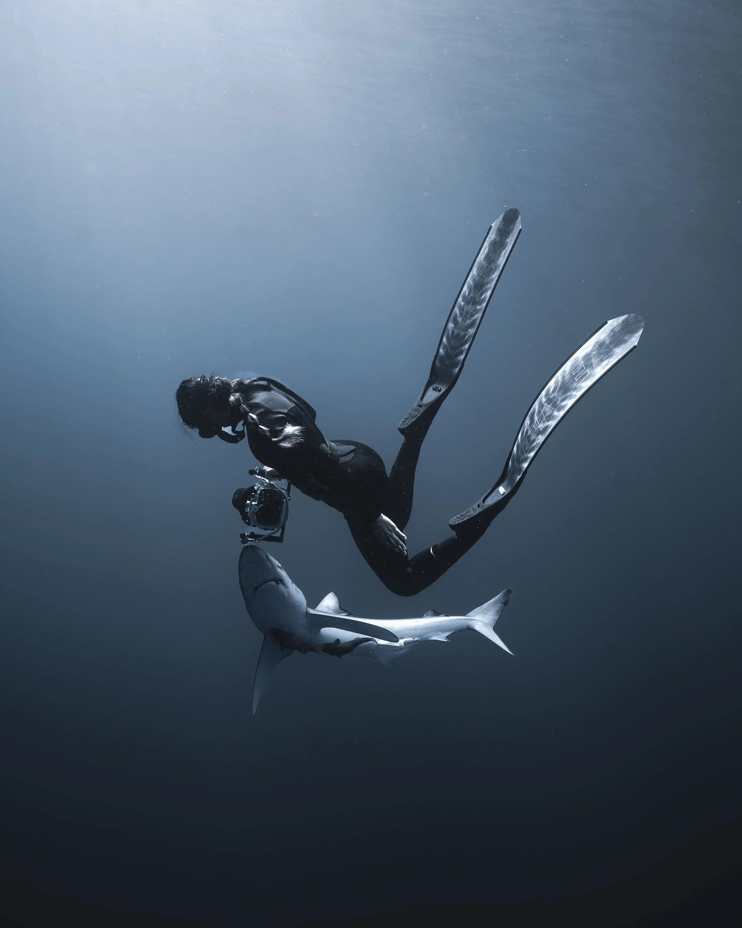 Scuba diver with fins swimming underwater above a shark
