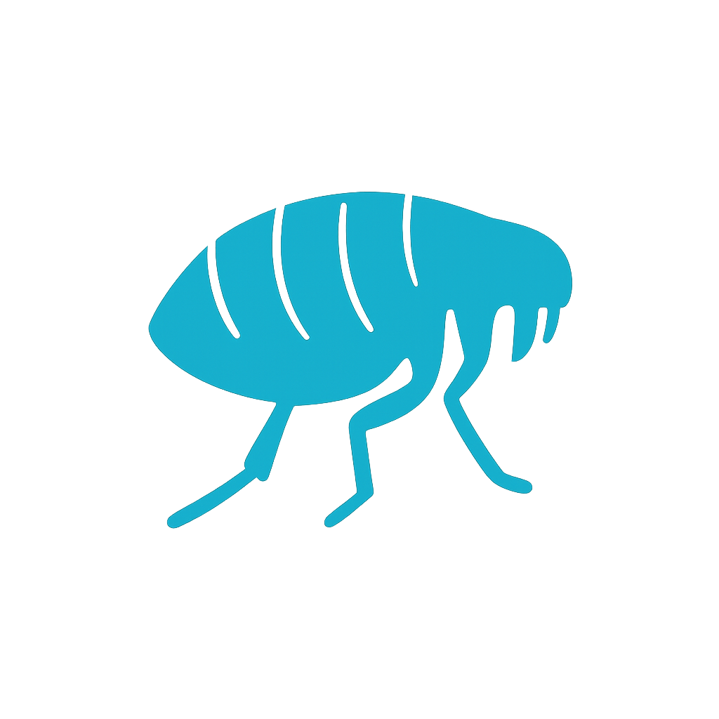 Neon sign of a fly with glowing blue outline on a dark background.