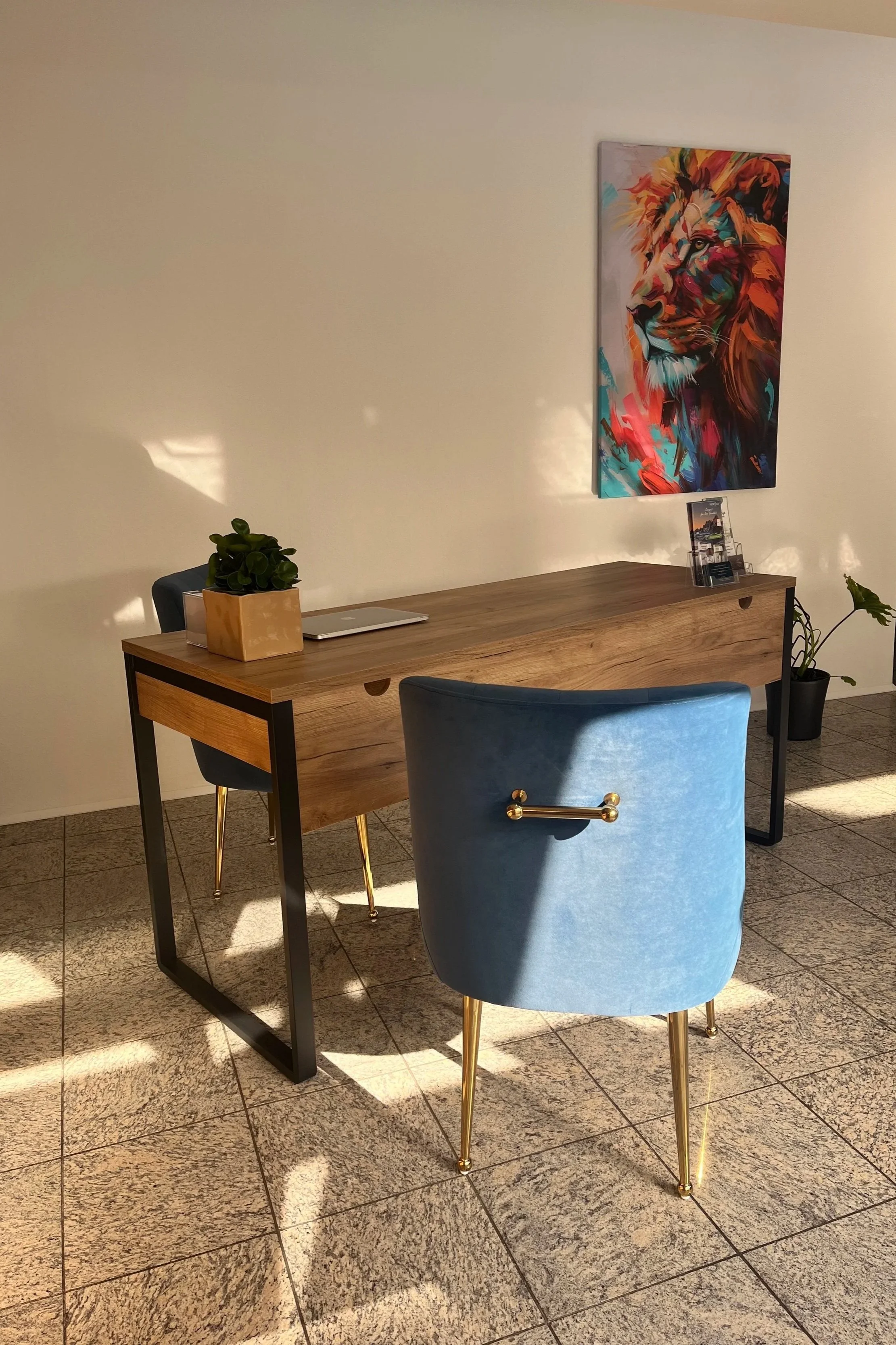 Ein moderner Arbeitsplatz mit einem Holzschreibtisch, einer blauen Sitzkugel, einer Pflanze in einem Becher, einem Laptop und einem Broschürenständer. An der Wand dahinter hängt ein buntes Gemälde eines Löwen.