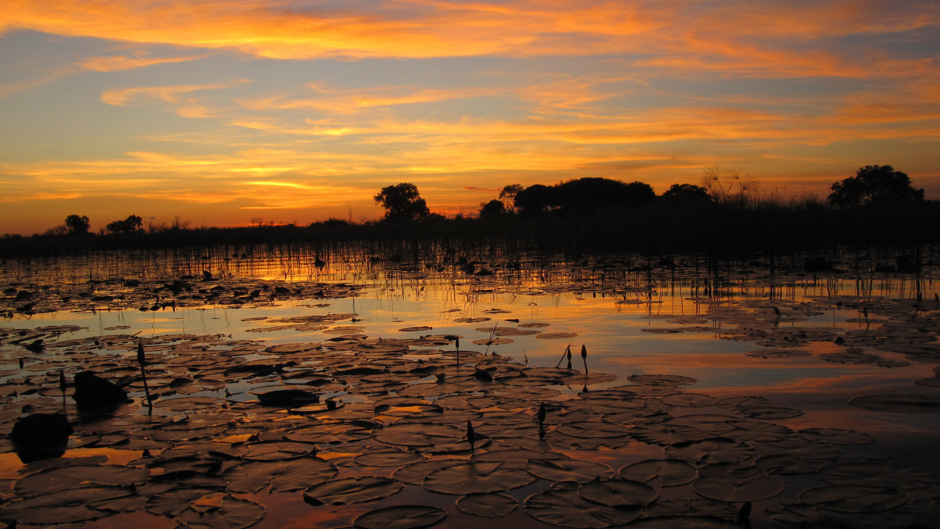 From Climate Commitments to SME Capital: Africa’s Missing Middle