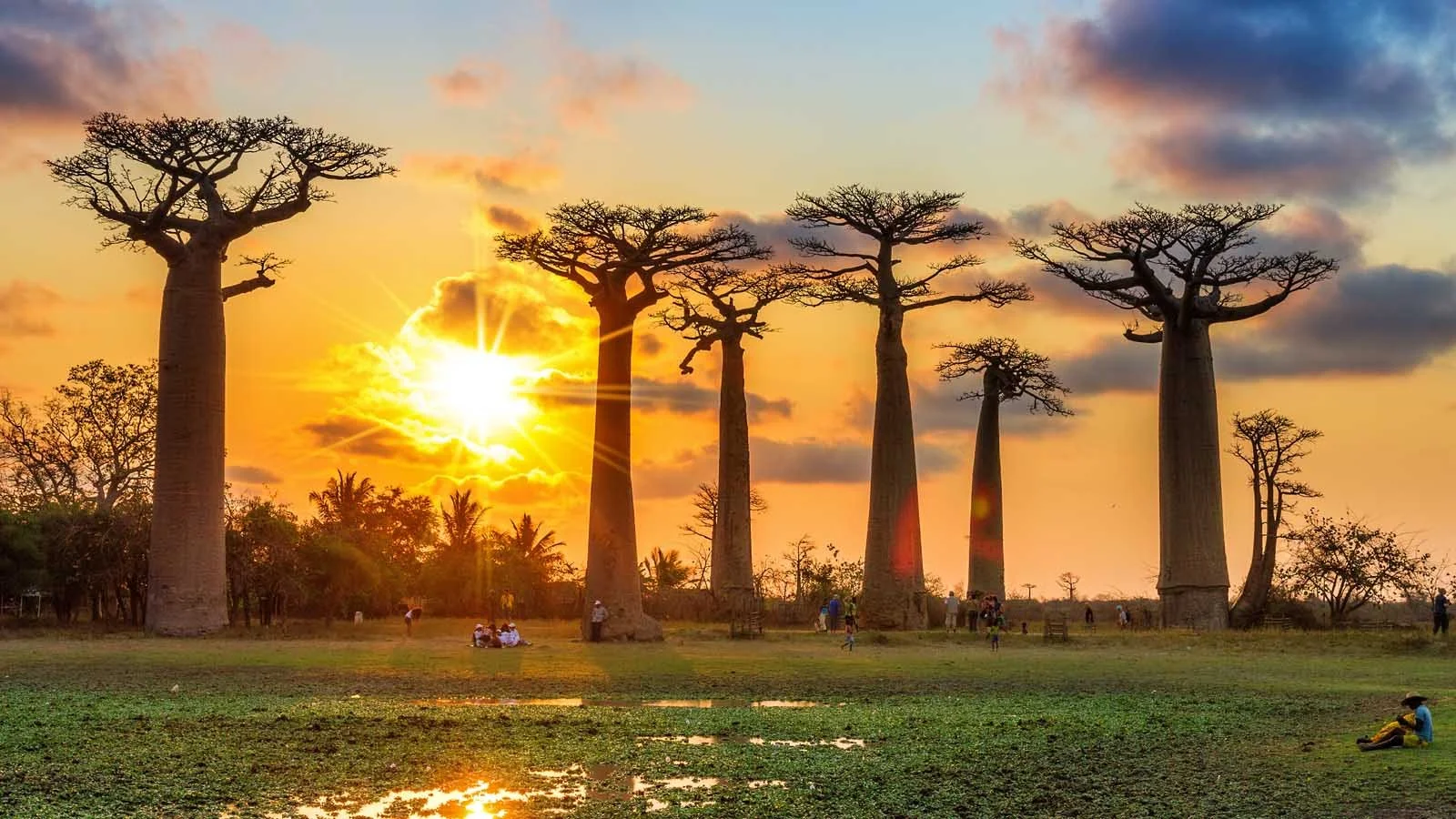 Madagascar Country Brief