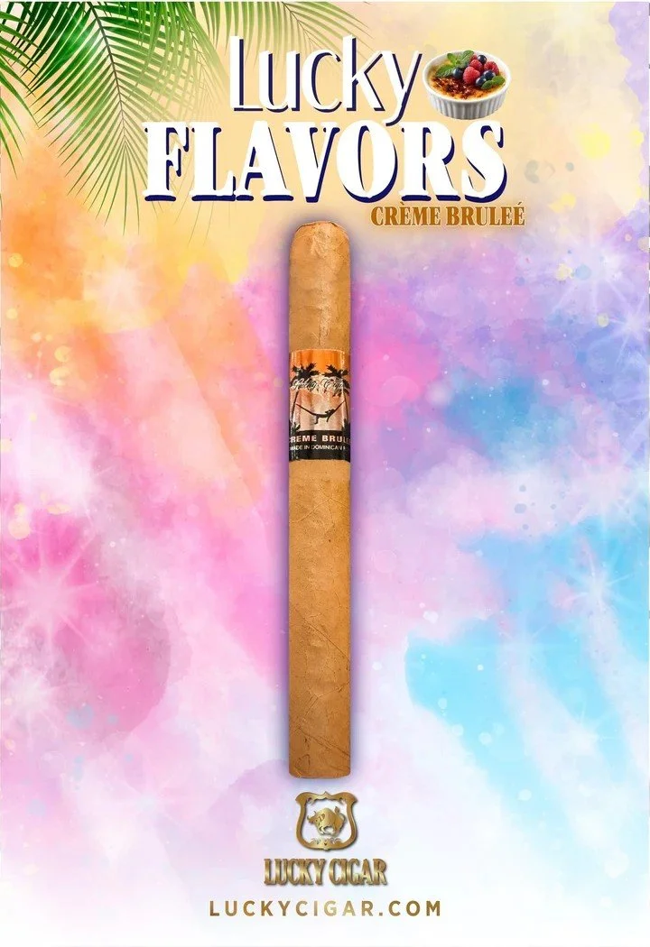 Havana Nights WV Flavored Cigar Selection Lucky Creme Brulee