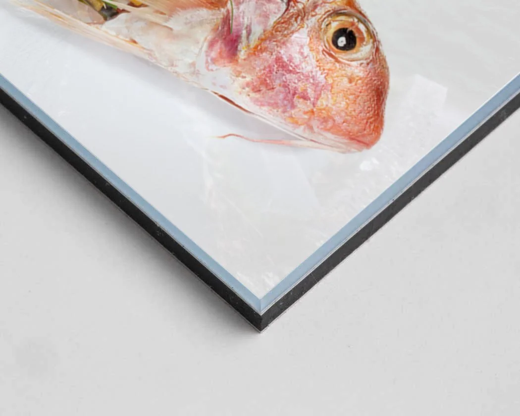 Detail Fine-art Print on Dibond behind Acrylic Glass F.jpg