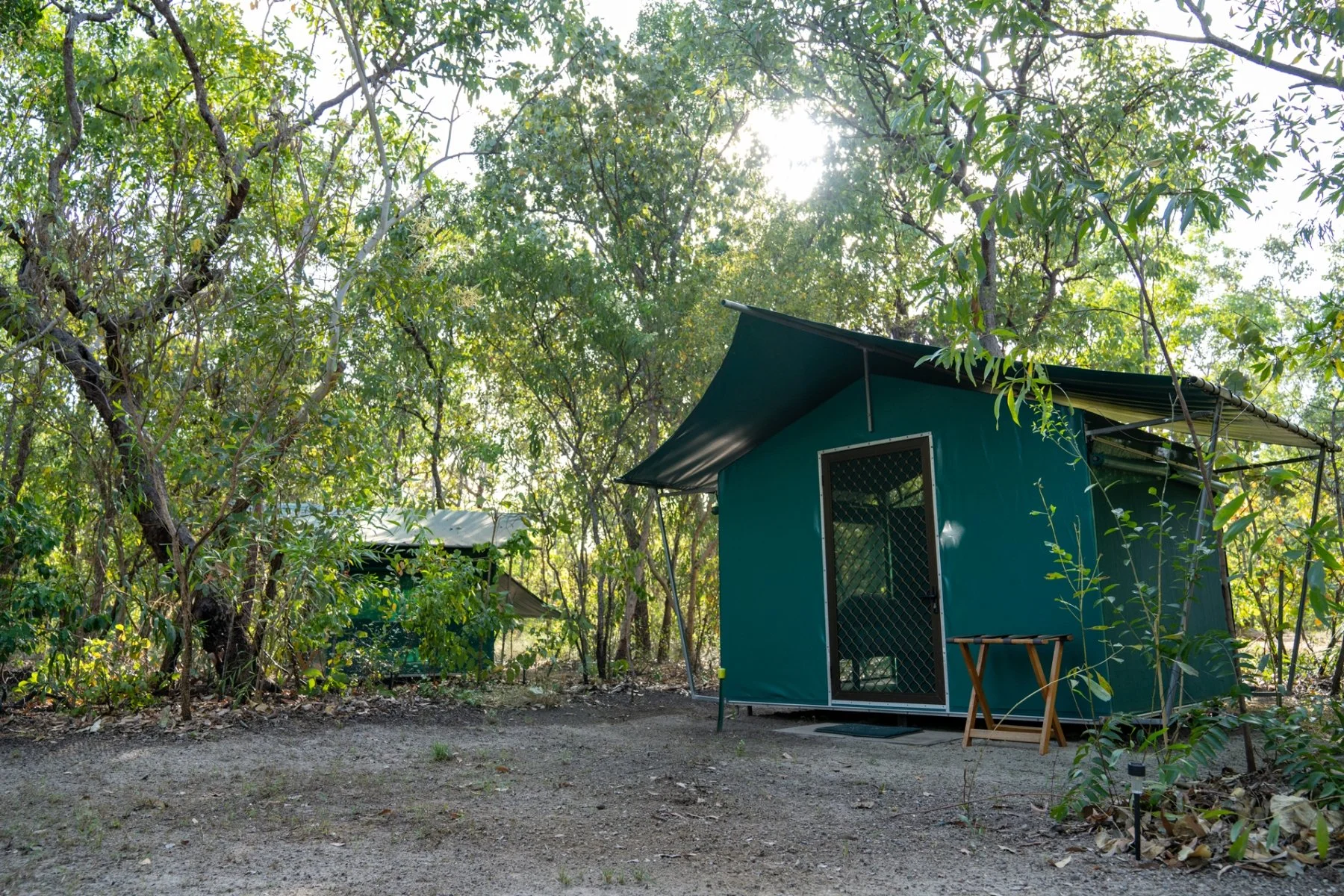 Small teal-colored cabin with a black door and mesh window, surrounded by green trees and sunlight filtering through branches in a wooded area.