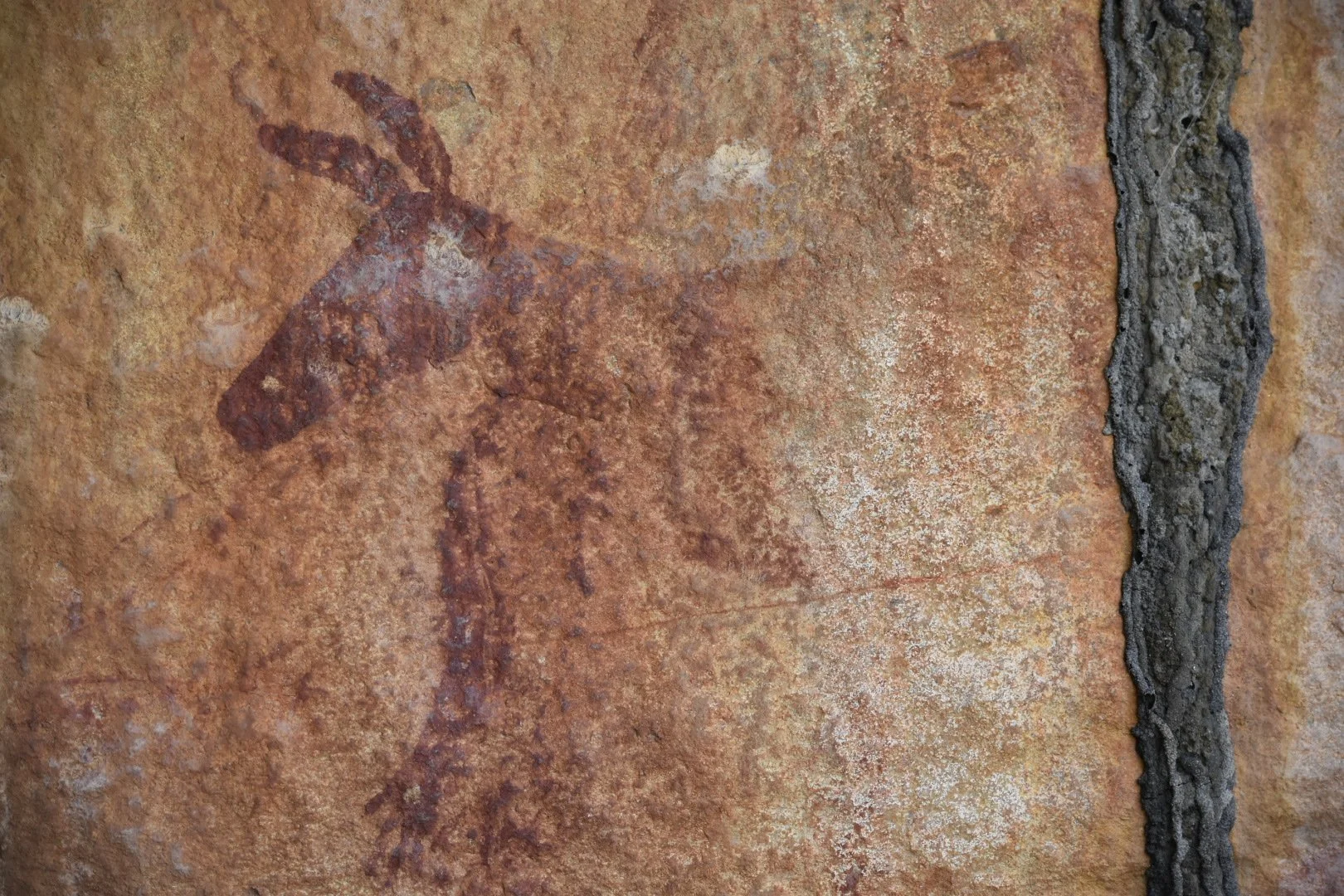 Ancient rock art depicting a red animal figure, possibly a deer or elk, on a weathered, reddish-brown stone surface with a black, rough line running vertically on the right side.