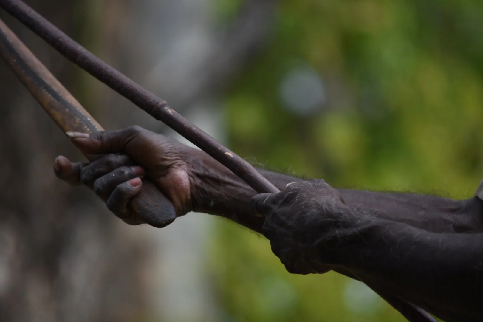 Close-up of an elderly person's hand grasping a wooden stick, with a blurred green and gray background.
