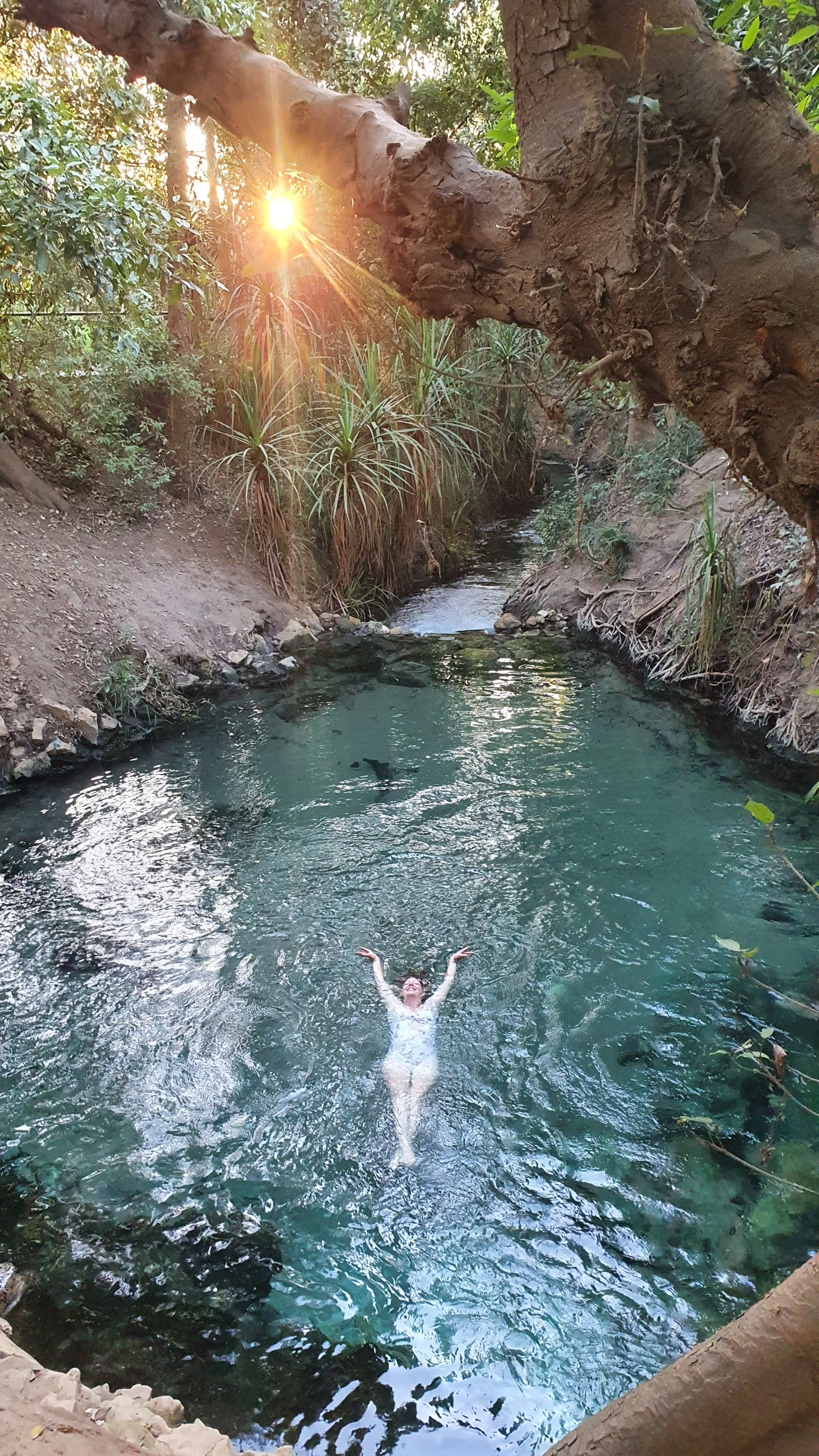 A person swimming in a natural creek or river surrounded by lush greenery with the sun shining through trees overhead.
