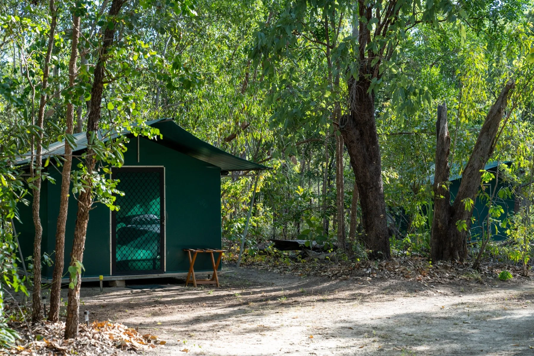 Small green cabin with a mesh door in a forested area, surrounded by trees and dense greenery.