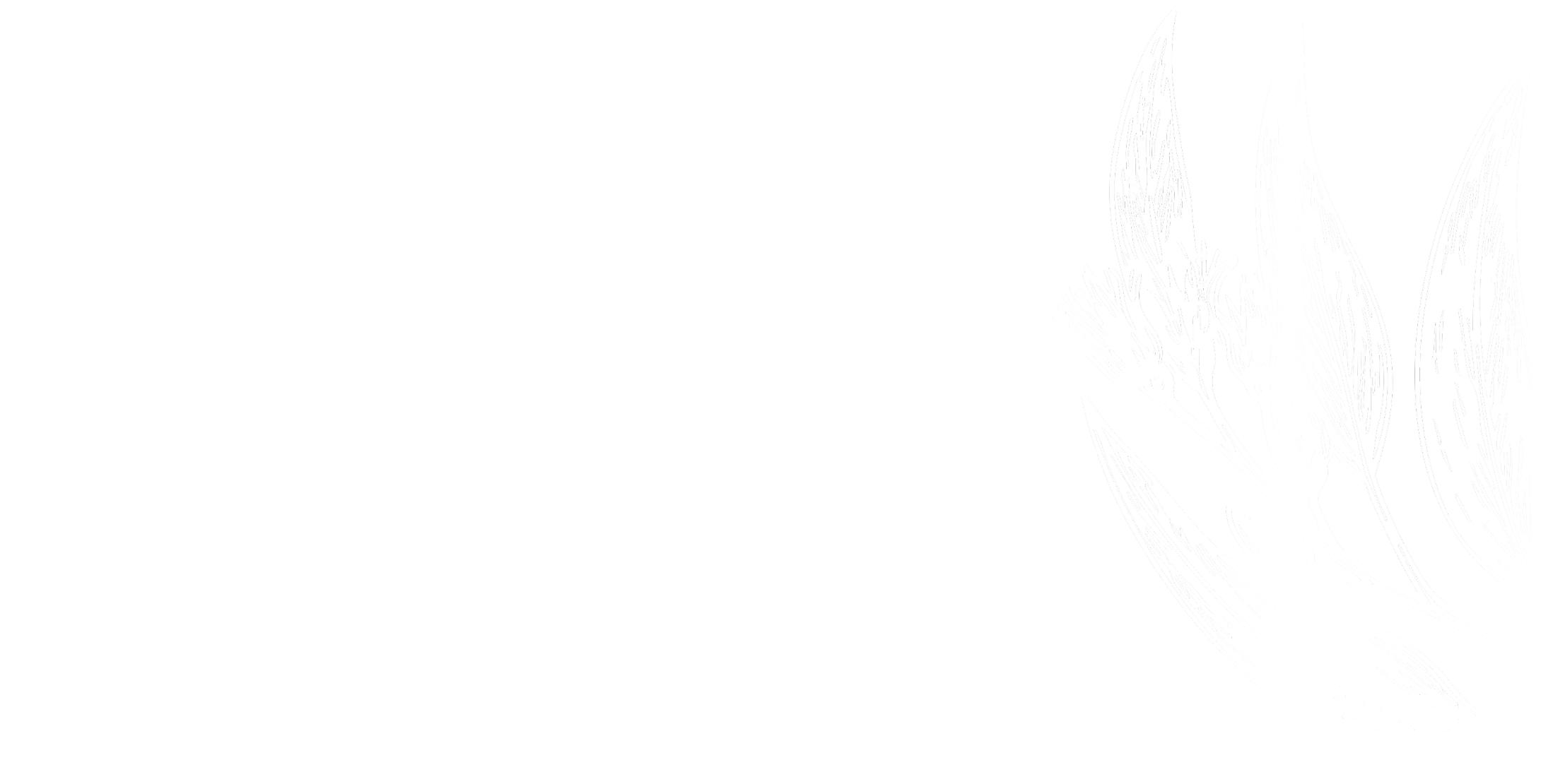 White outline of a plant with leaves and flowers on a black background.