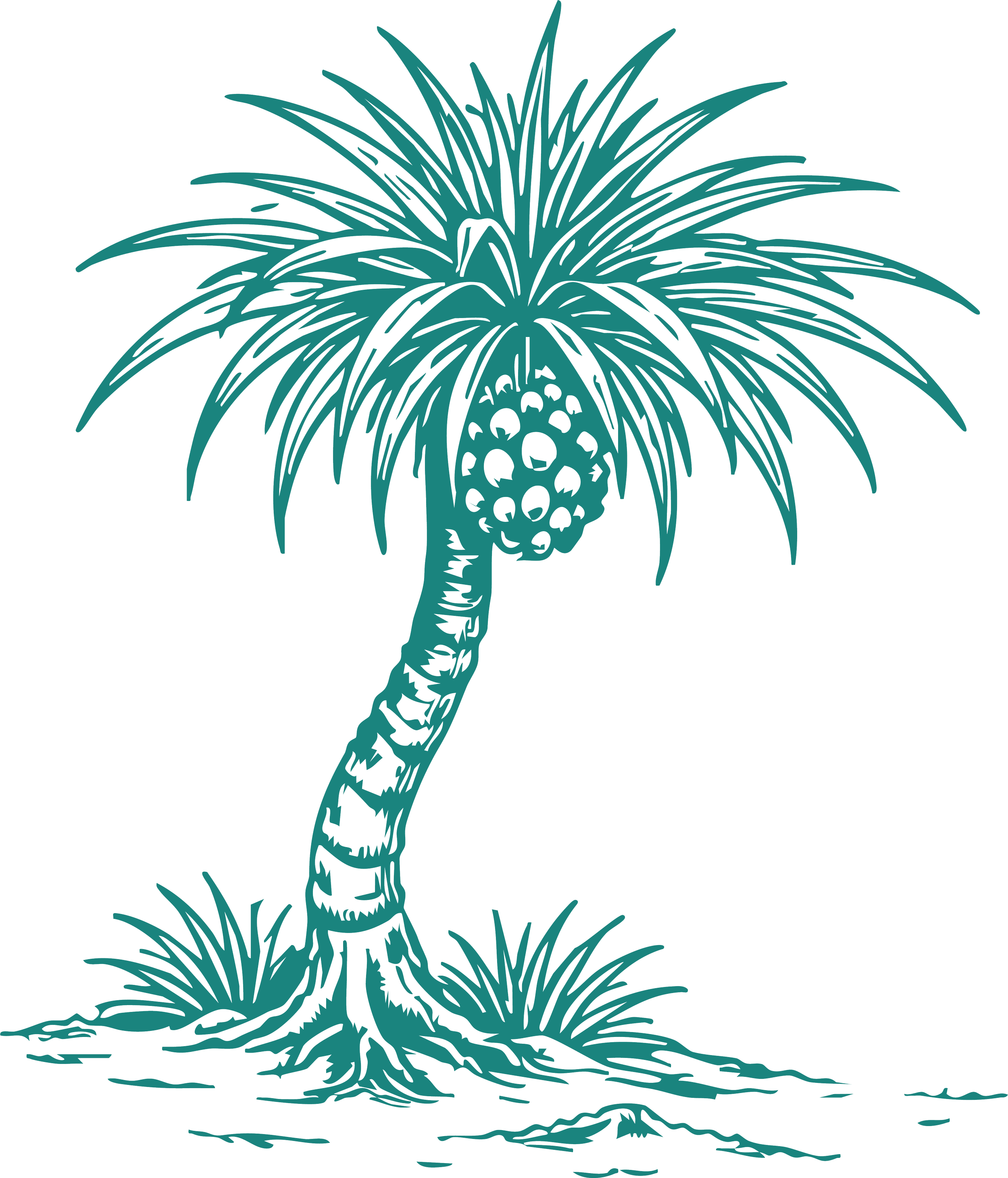 A stylized illustration of a palm tree with a rounded cluster of coconuts at the top, set against a black background.
