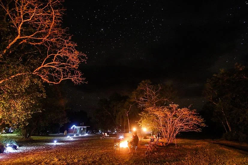 Nighttime outdoor scene with a campfire, chairs, and trees under a starry sky.