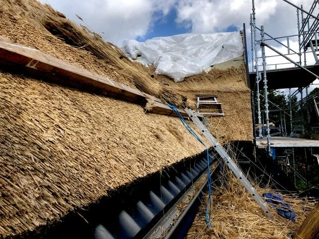 Bygningsarbejde med tagkonstruktion, der er under opførelse eller reparation, med trappe, stiger, og beskyttende plastdække på et stillads. Tækkemand Nordsjælland Furesø Tækkeentreprise ApS