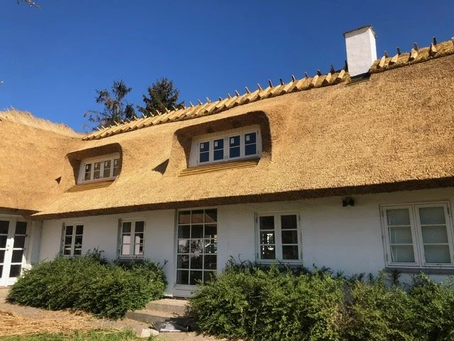 Hus med stråtag og hvide vinduer, omgivet af grønne buske