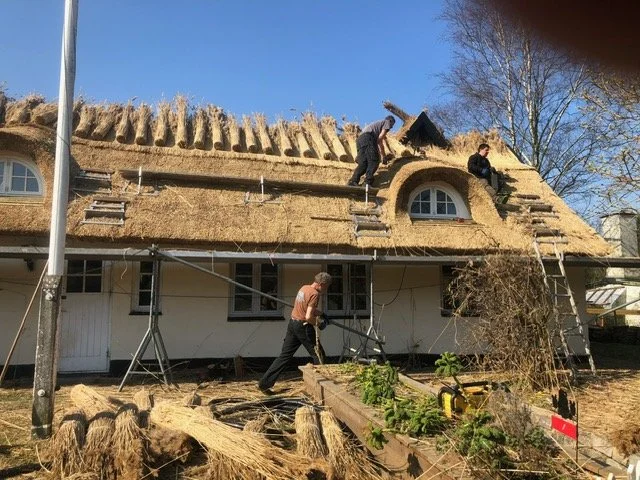 Folk arbejder på at lægge stråtaget på et hus, hvor nogle personer står på taget og en person arbejder med maskine på jorden. Tækkemand Nordsjælland Furesø Tækkeentreprise ApS