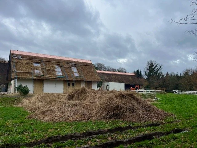 Et landbrugs- eller gårdhus med halmtag og vinduer, omgivet af græs og en skov i baggrunden, under en overskyet himmel.