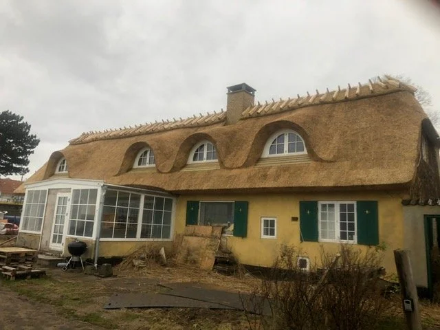 Hus med stråtag, grønne vindueskroge, og en glas veranda.