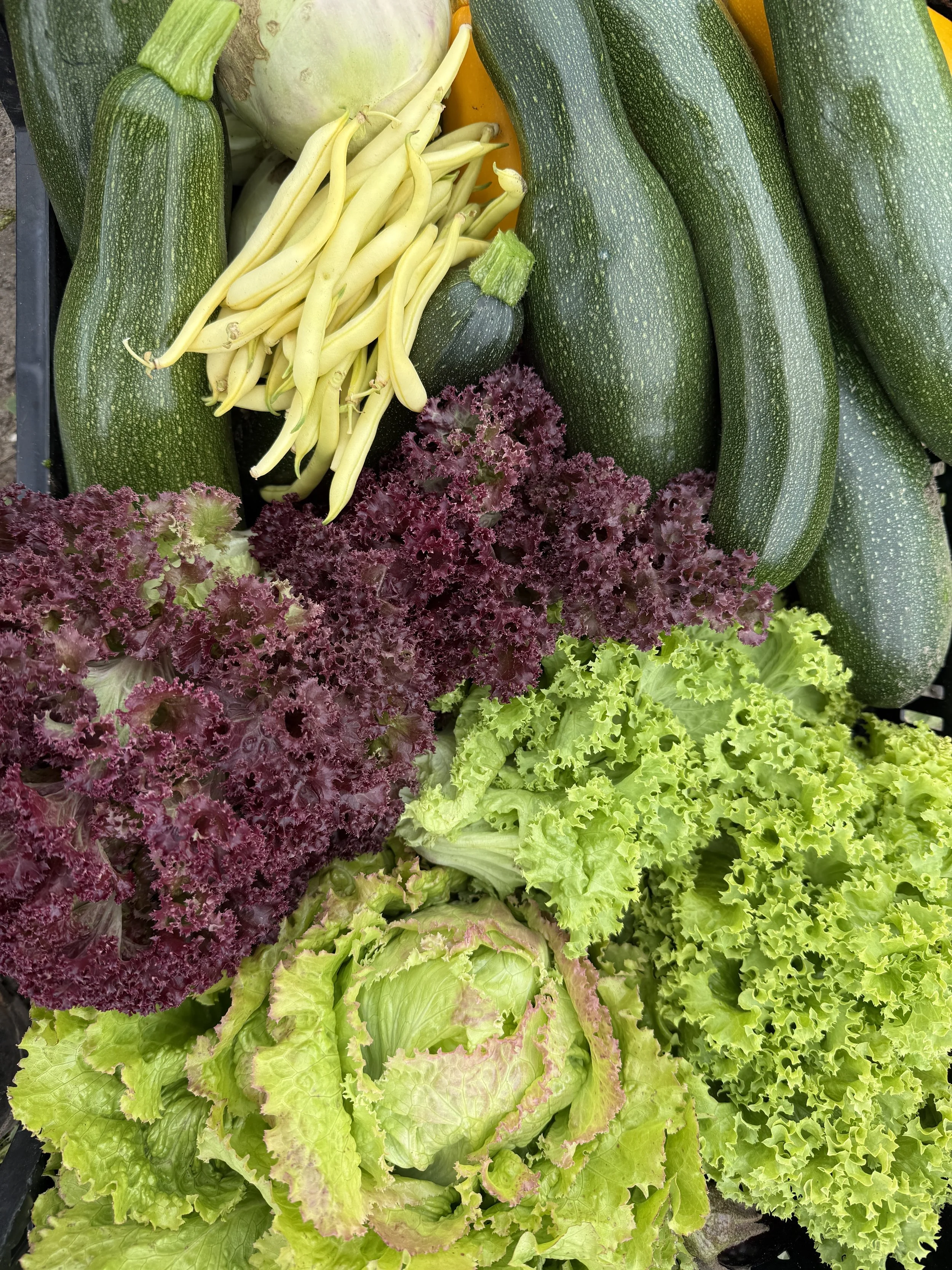 Groente in landwinkel