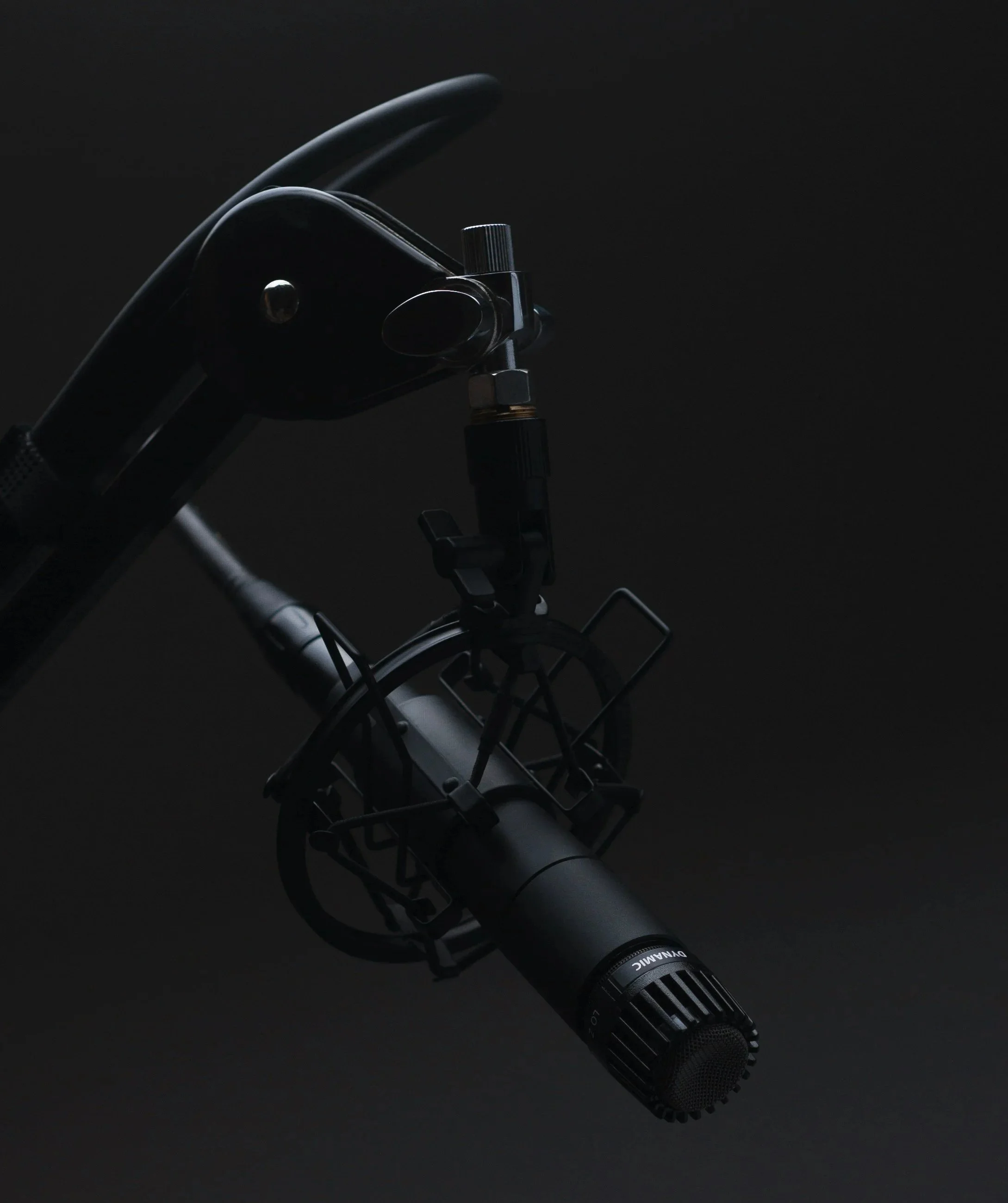 Professional instrument microphone mounted for audio recording and live sound
