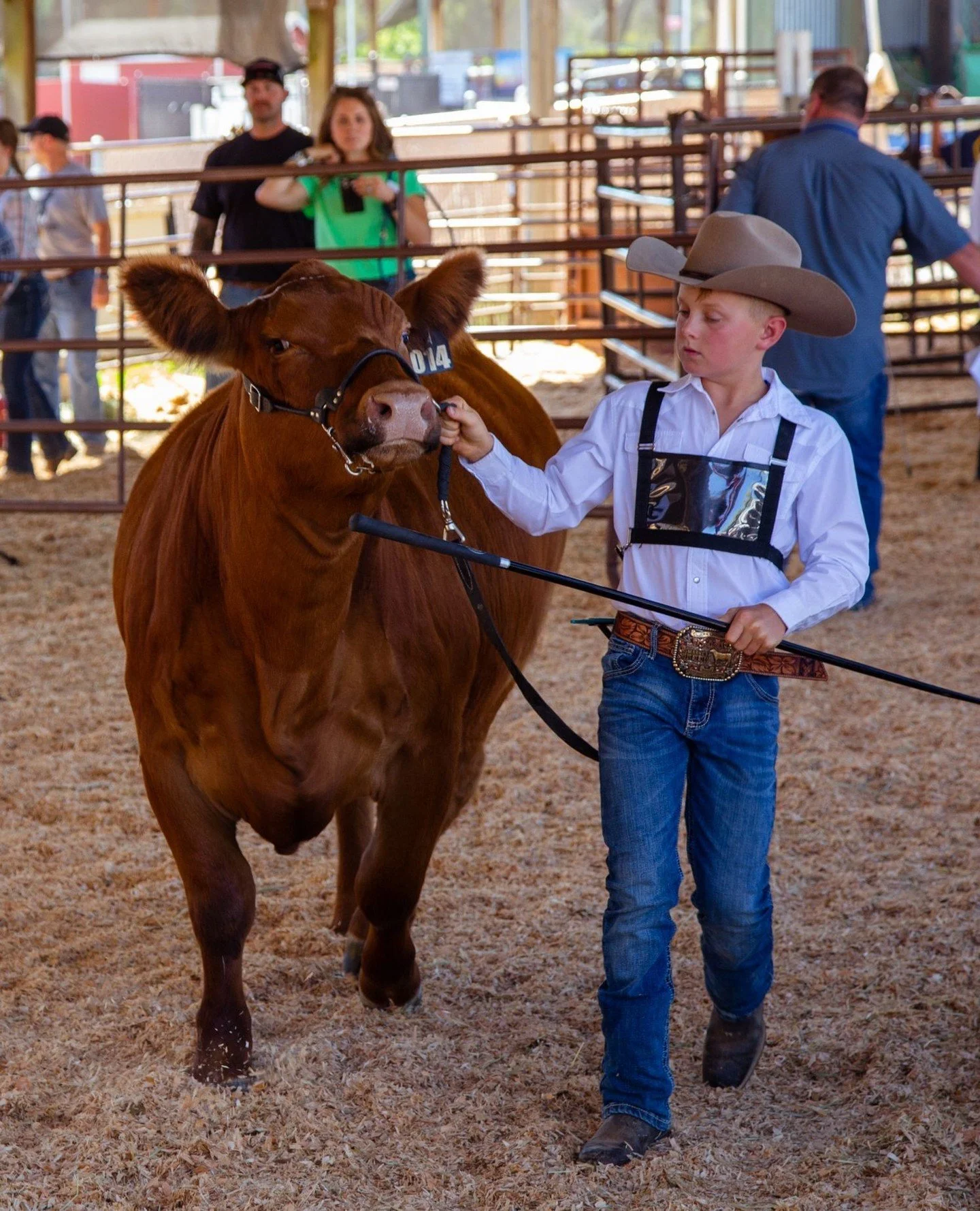 This is your sign to mooo-ve on over to clarkcofair.com because Exhibitor Guides are live! 🐄💛 Check out department rules, deadlines, and schedules so you are ready for August 7-16, 2026!