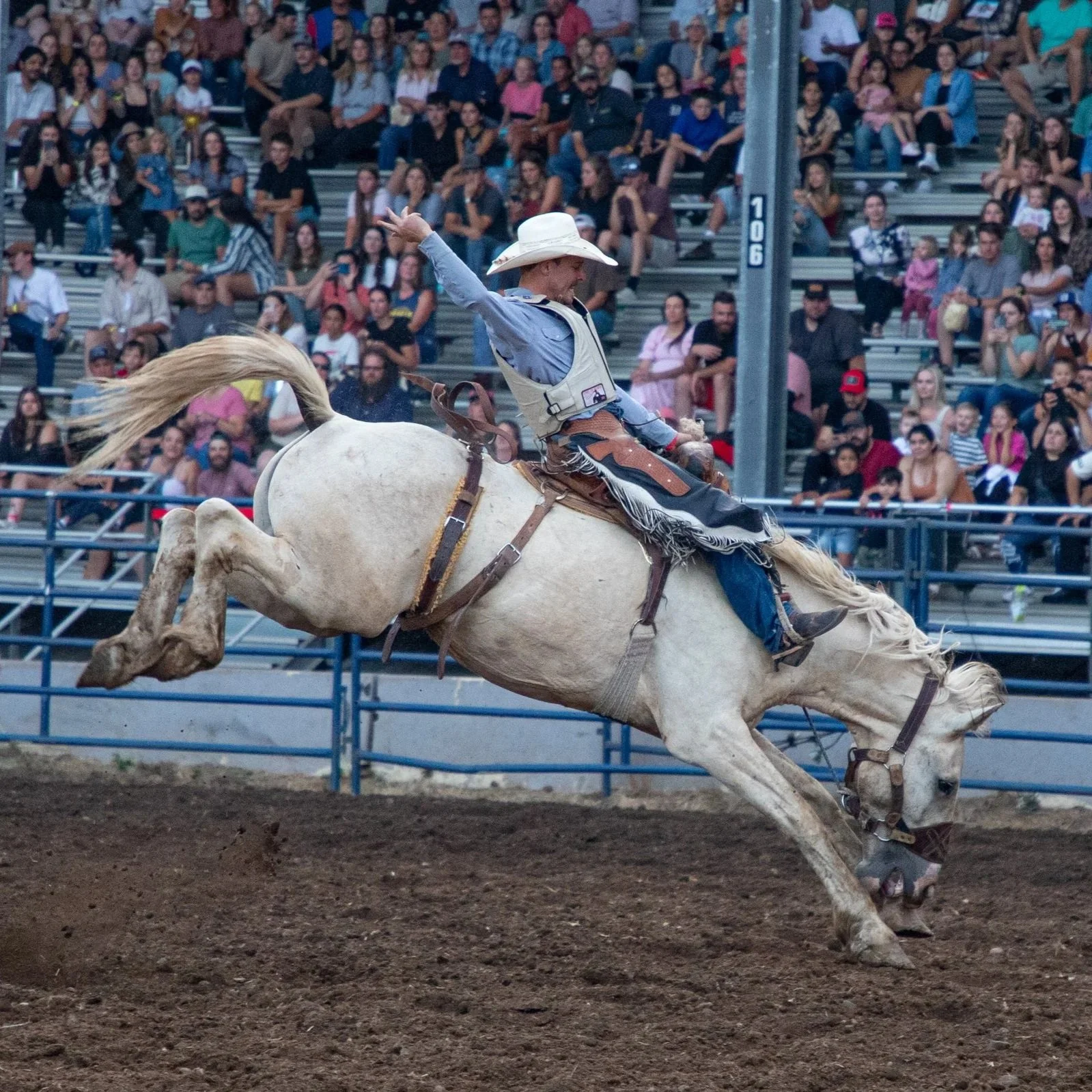 Extreme Bull Riding & Rough Stock Rodeo — Clark County Fair