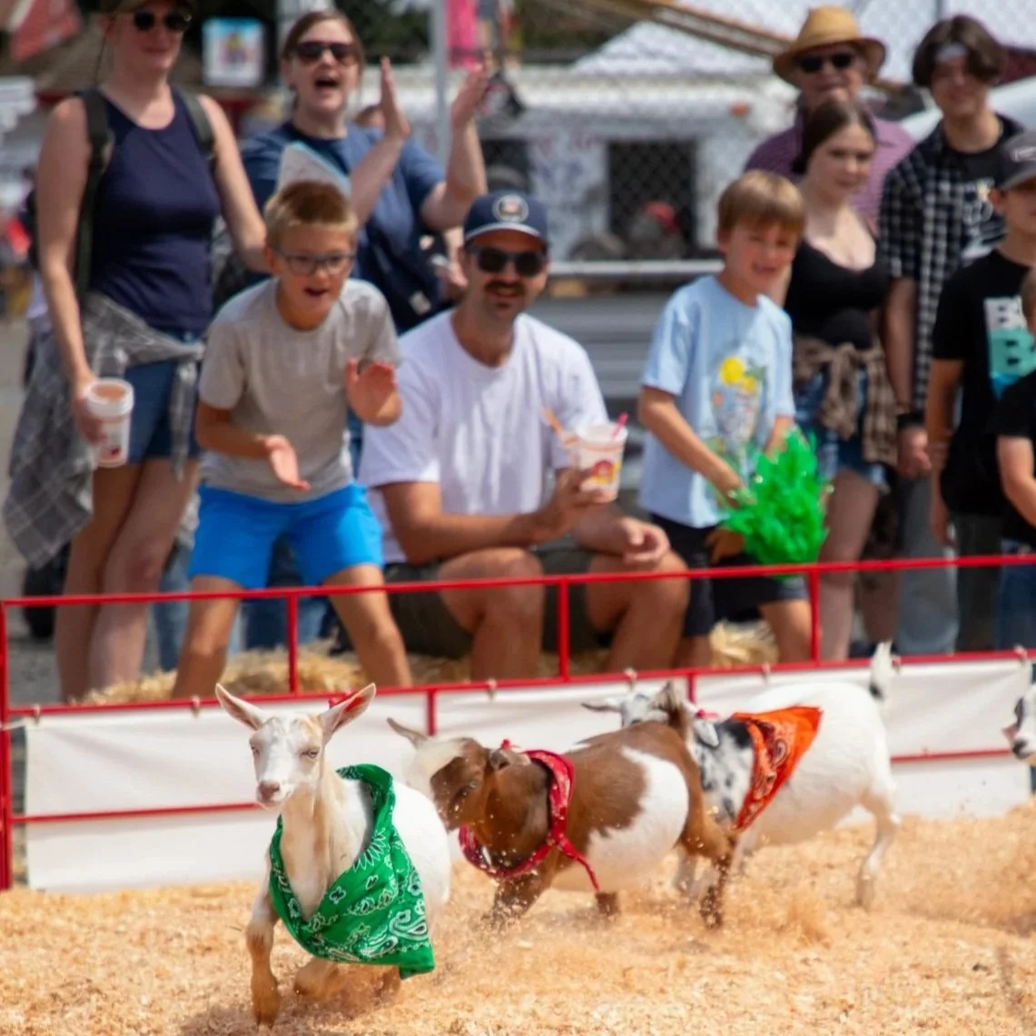 Live Shows & Family Entertainment — Clark County Fair