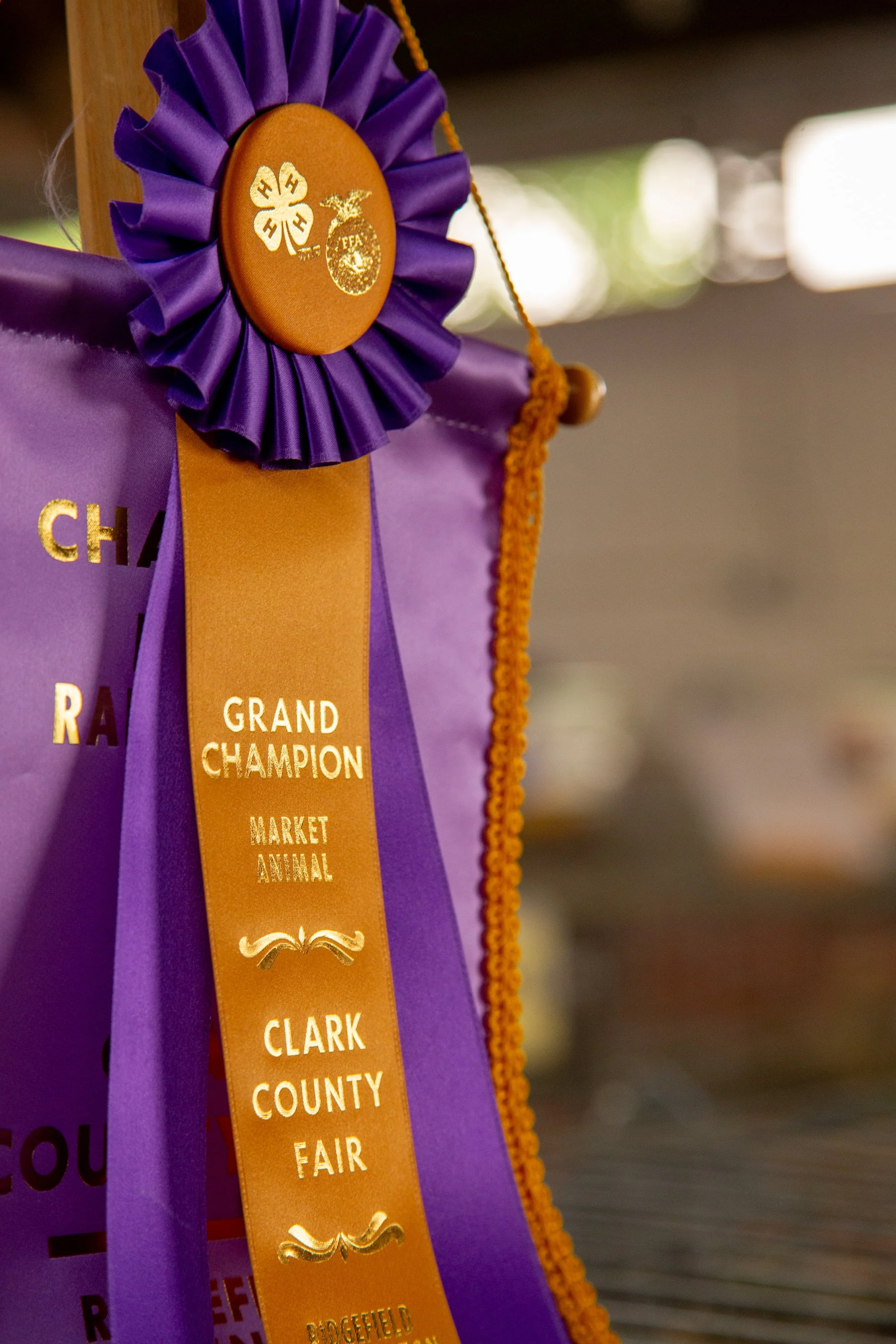 Purple and orange grand champion ribbon from the Clark County Fair 
