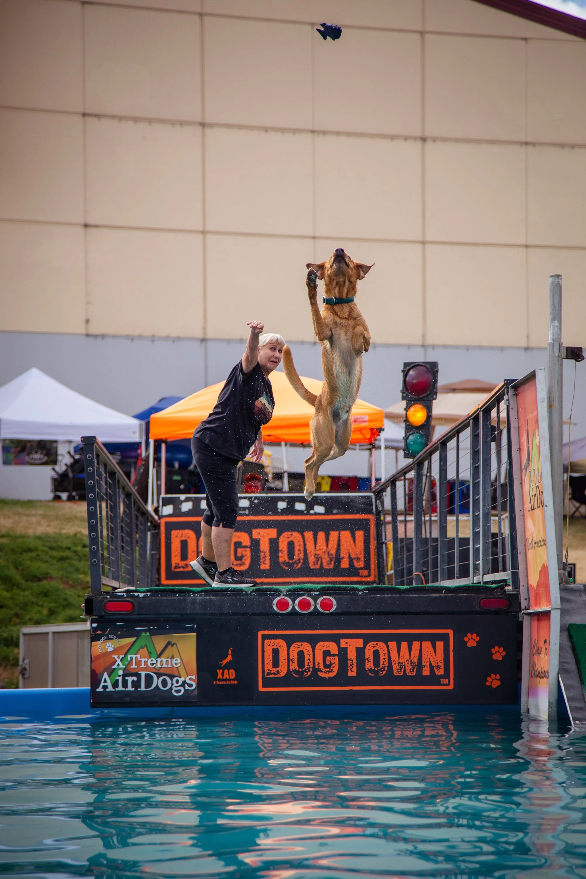 Dog leaping into the over a dock diving pool after a ball thrown by a woman standing on the edge of the dock