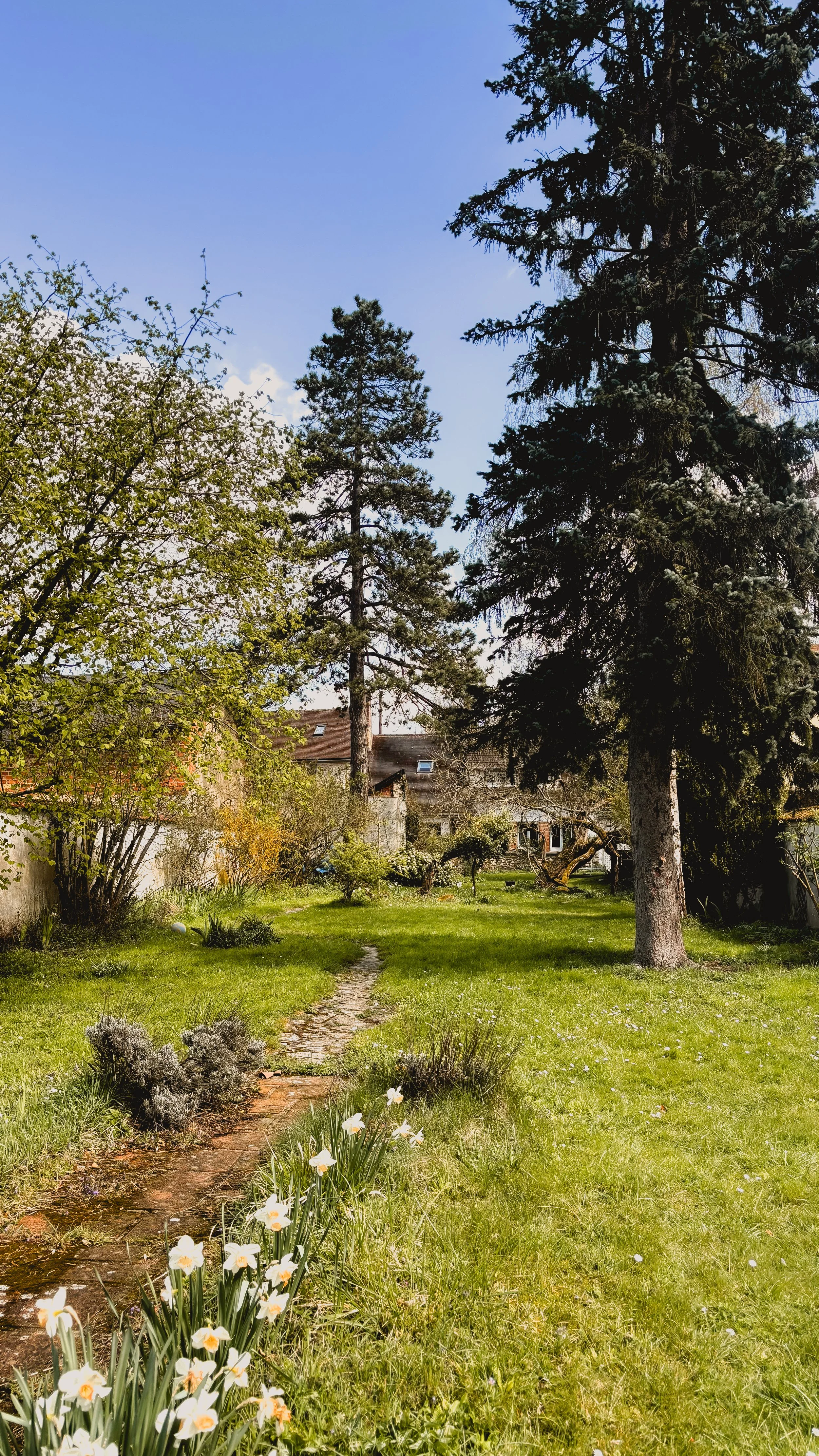 Jardin verdoyant avec un chemin en pierre, arbres, et une maison en arrière-plan sous un ciel bleu.