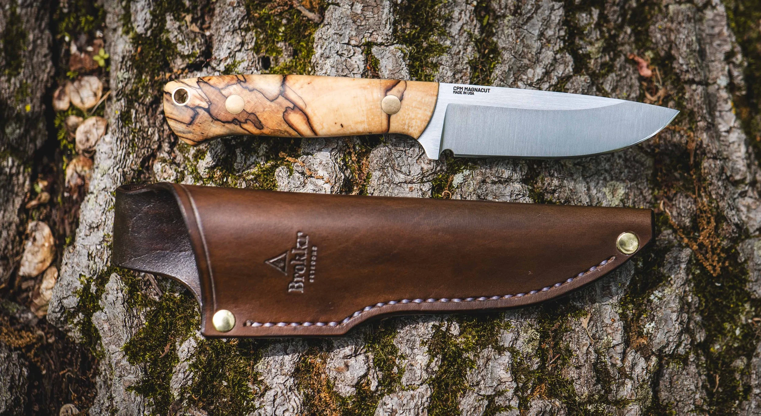 P1016159.jpeg (Copy)