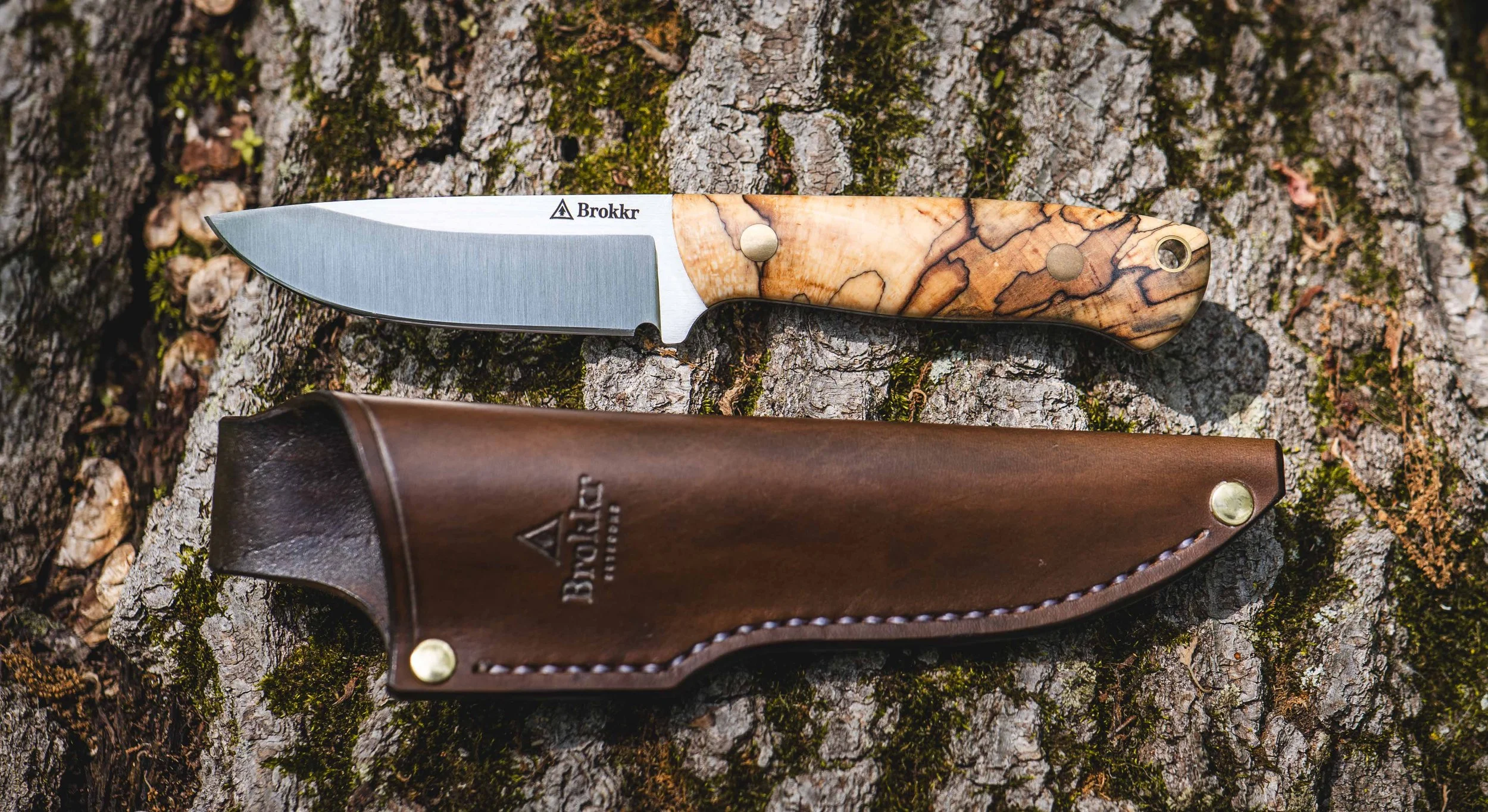 P1016156_1.jpeg (Copy)