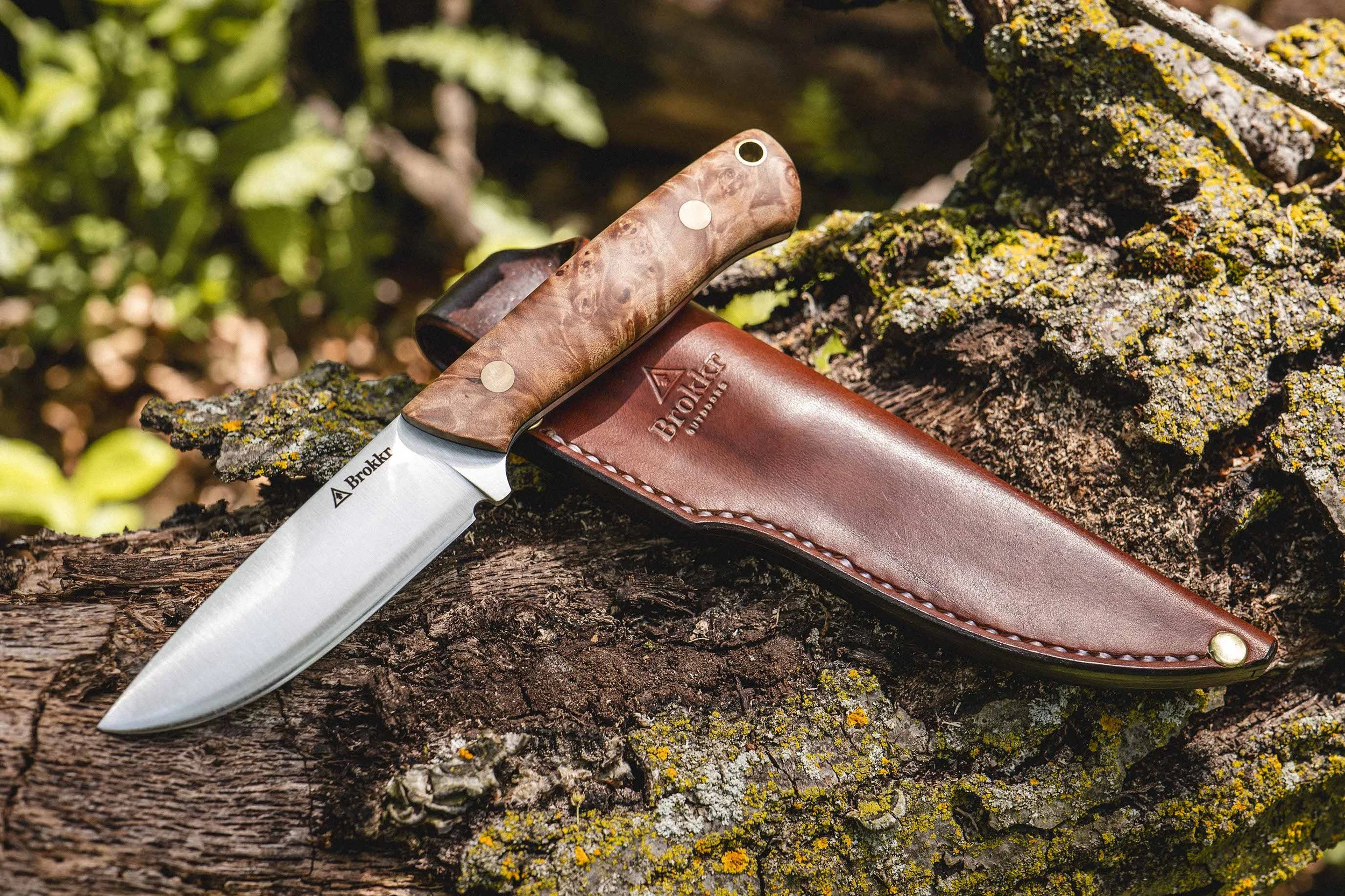 Woodsman Lt - Magnacut / Burled Maple