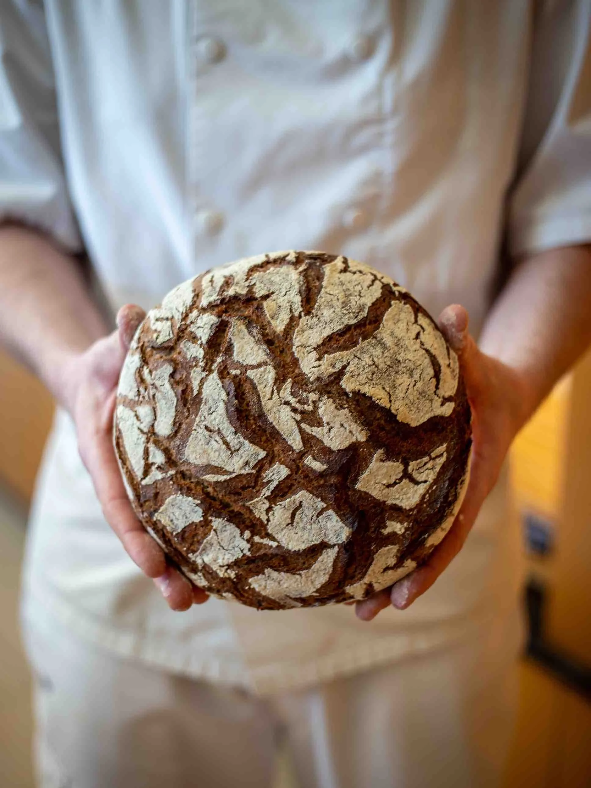 seigle auvergnat enfarine