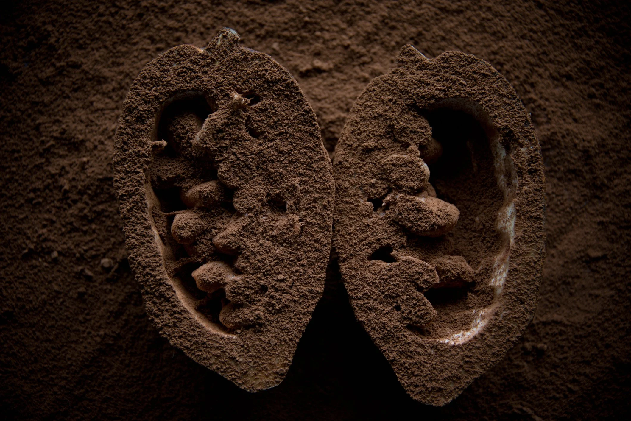 No time for your morning cuppa and croissant? No worry. Get your pick-me-up paired with a daily dose of heart healthy protein from our Mocha Pecans. 