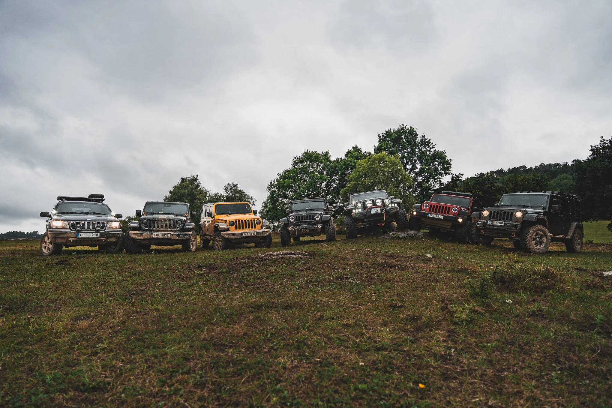 Seven Jeep vehicles parked on a grassy field with trees and cloudy sky in the background.