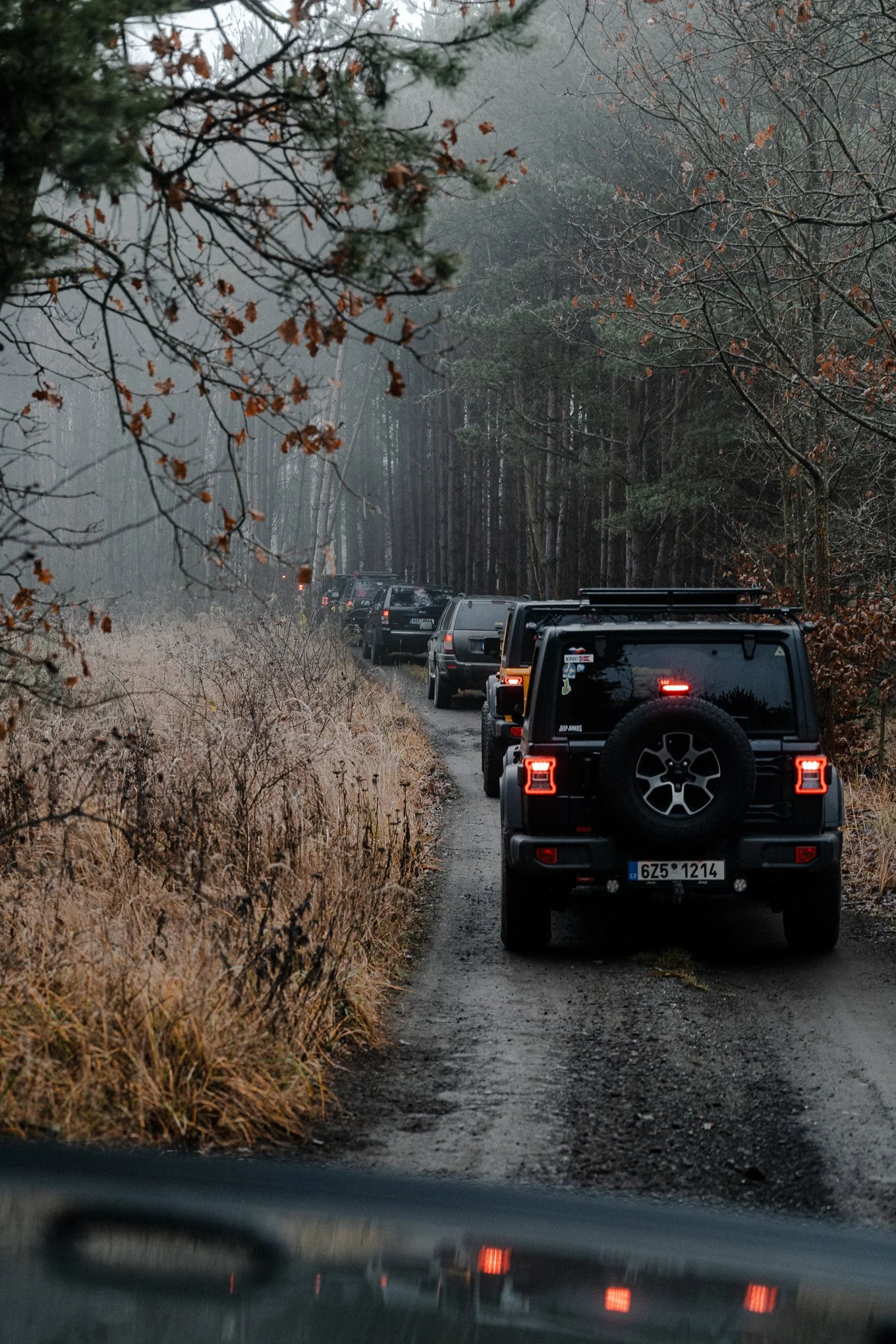 A line of cars, including off-road vehicles, on a narrow dirt road through a foggy wooded area with trees and dry grass on both sides.
