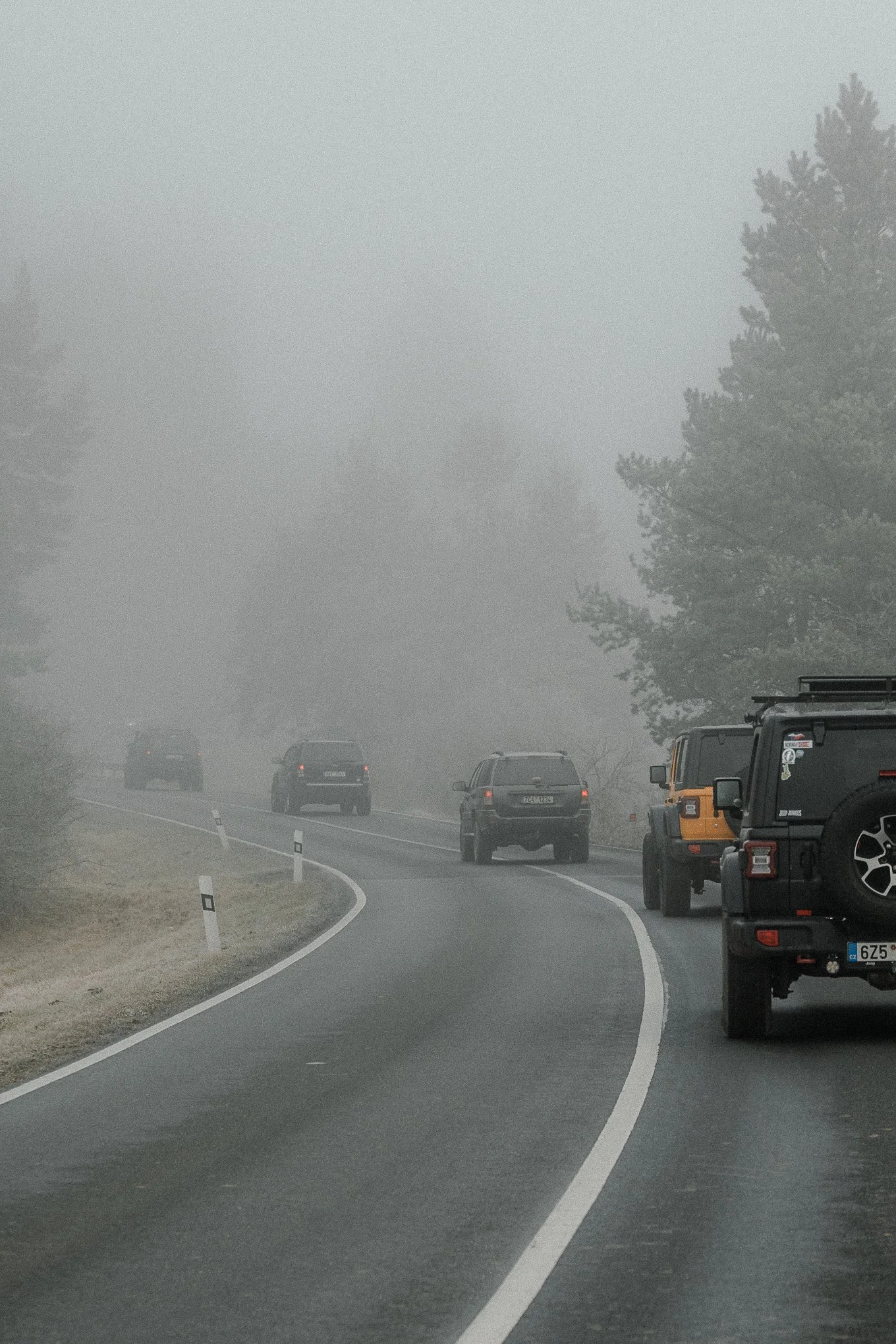 A foggy mountain road with several cars driving and parked along the side, surrounded by tall pine trees.