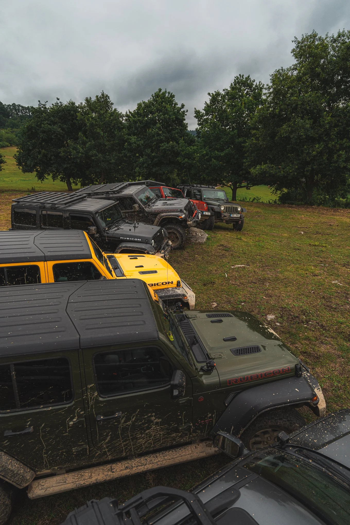 Multiple Jeep Rubicon vehicles parked on a grassy hill under cloudy skies, with trees in the background.