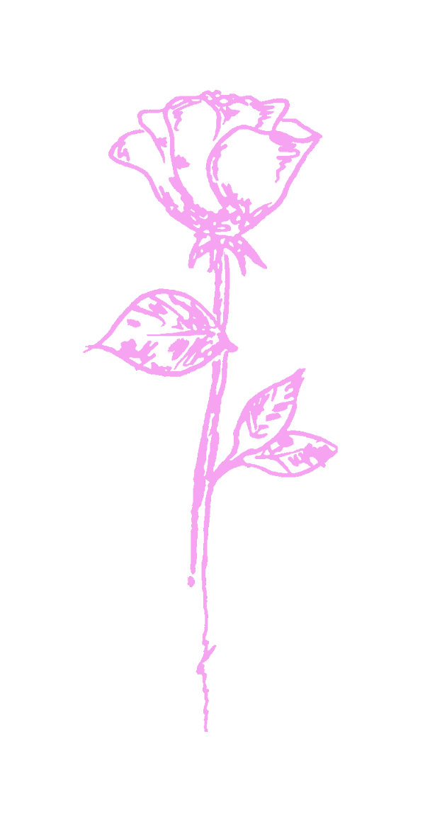A purple line drawing of a single rose flower with a stem, leaves, and a blooming bud.