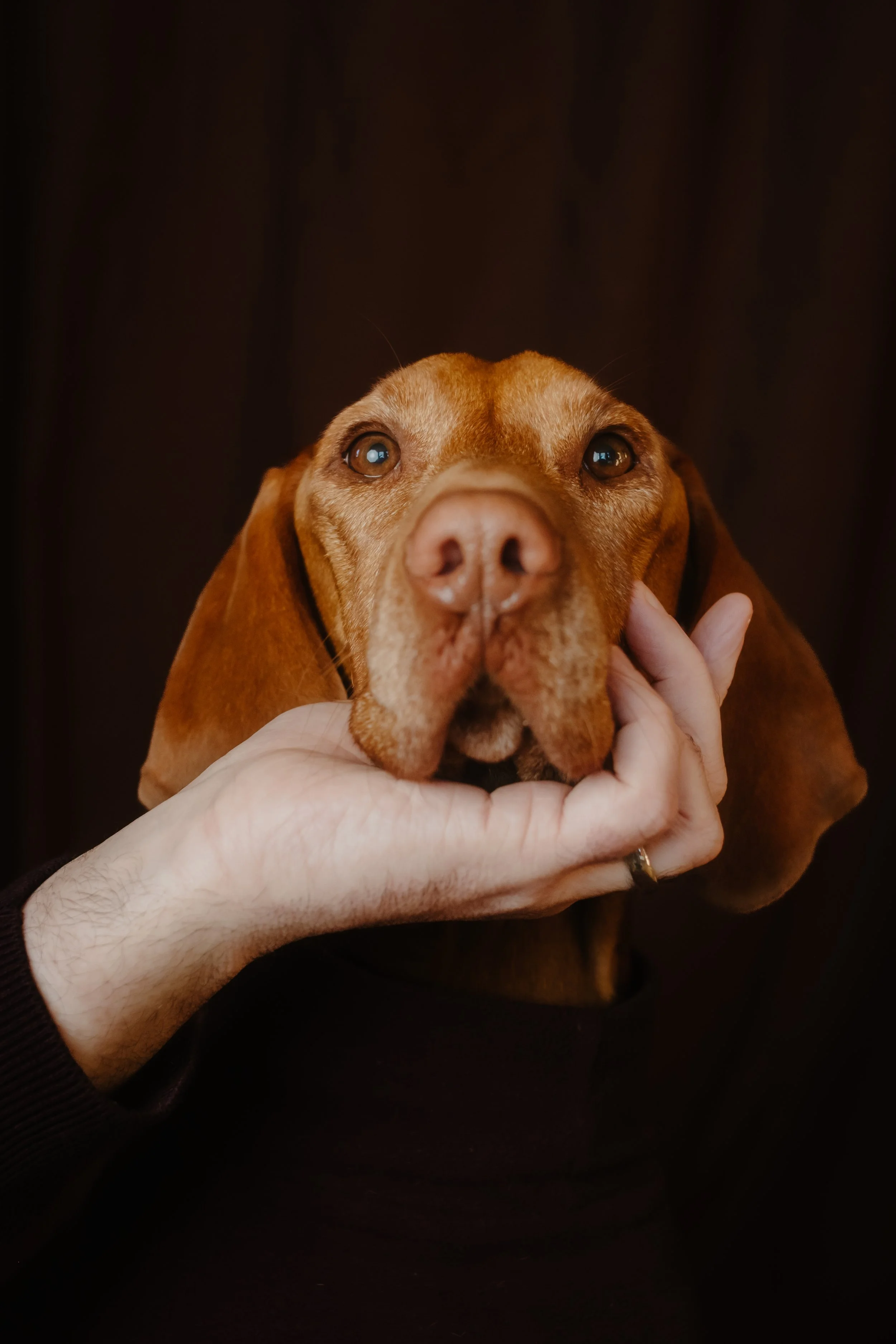 058-2025-11-39 Bark'ly.jpg