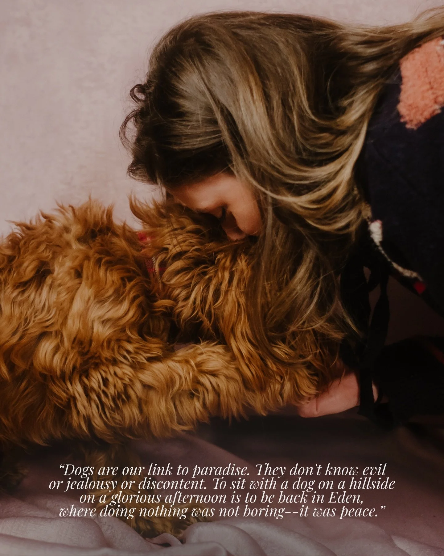 JURA.

How lovely is her colour and fur. How much lovelier is the way she interacts with her human.

Bark&rsquo;ly - capturing connections, delivering moments. Book now.

#dogs #doodles #scotlandphotographer #dogphotographer #scotlanddogs dog photogr