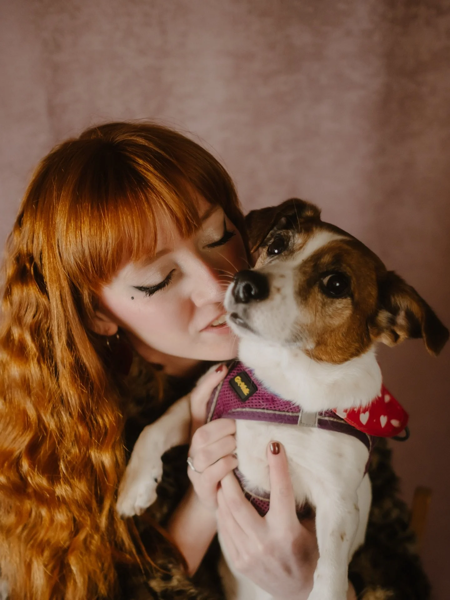 &ldquo;The world would be a nicer place if everyone had the ability to love as unconditionally as a dog.&rdquo; 

Absolutely obsessed with these portraits and the adorable wee Corrie 🧡 swipe to see how easy a Bark&rsquo;ly shoot is! No stress. Just 